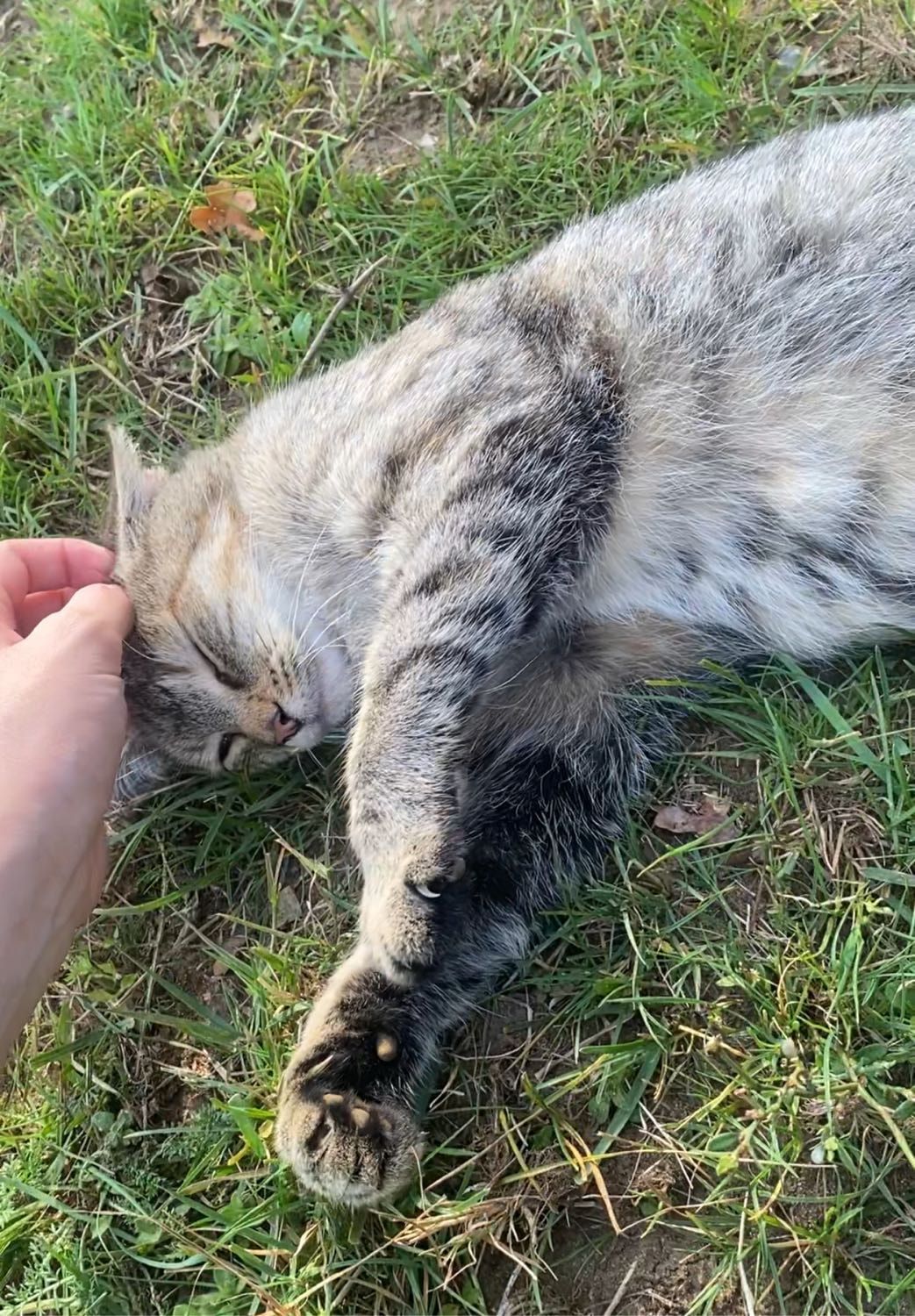 image-6
