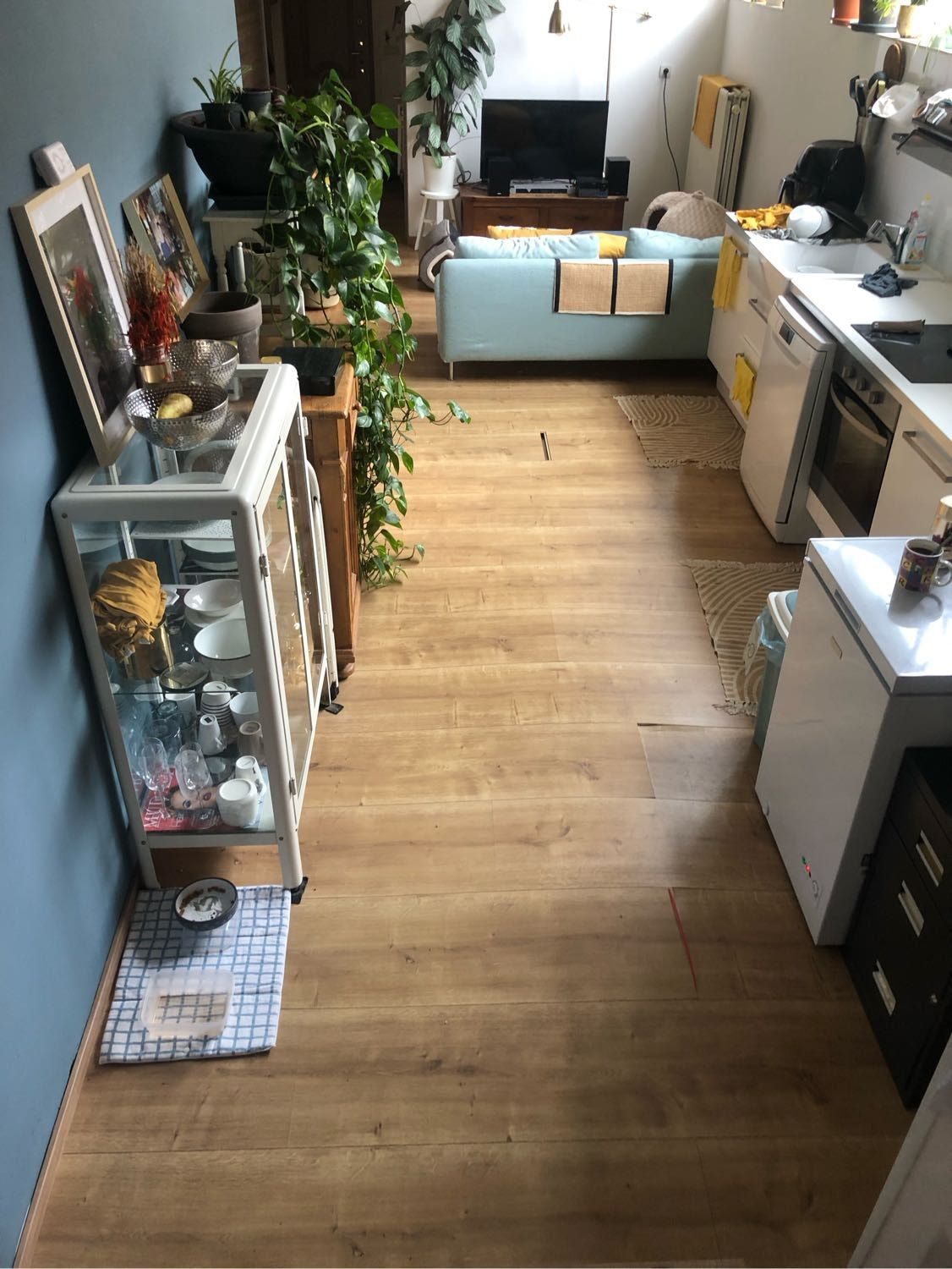 image-7