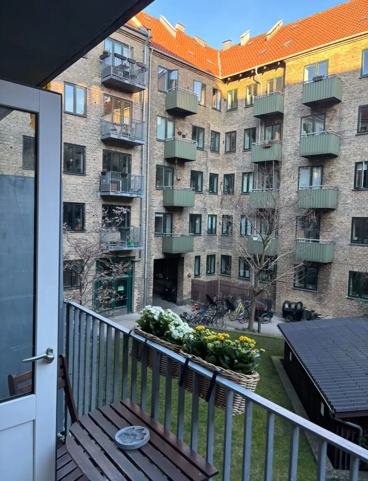 image-12