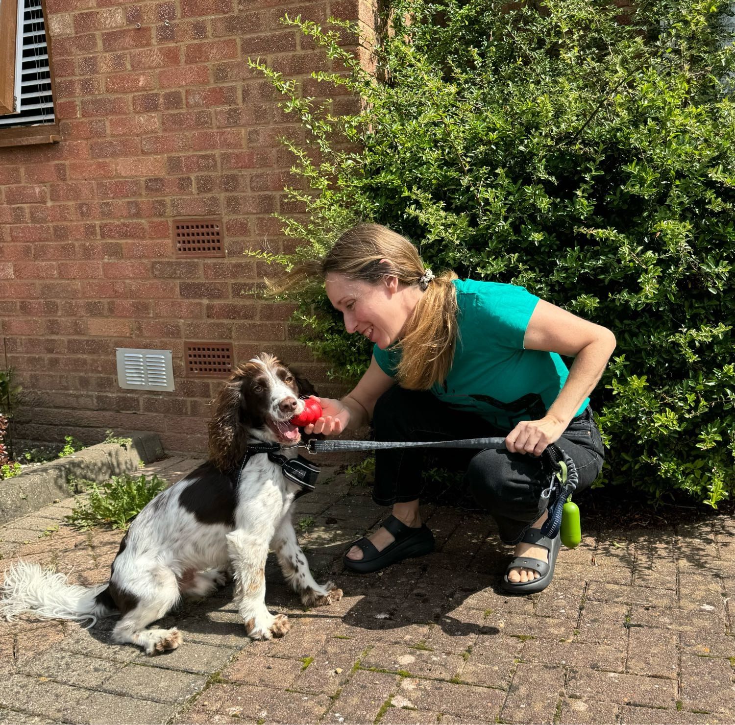 image-18