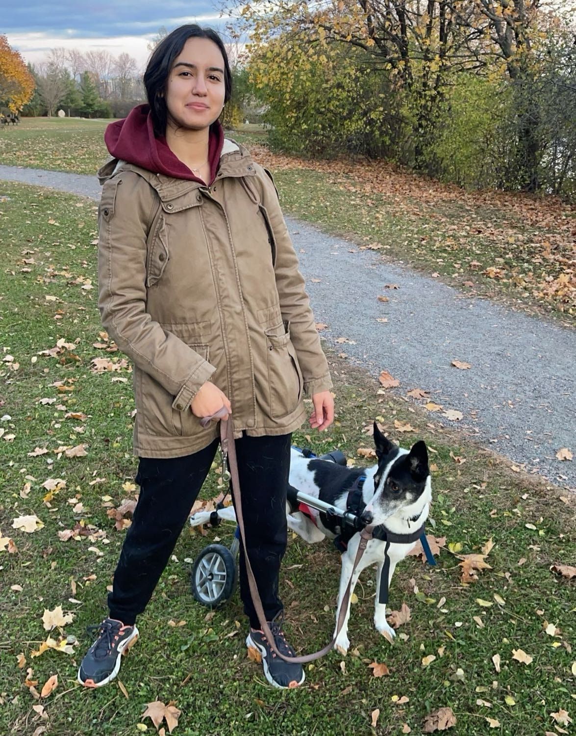 image-11