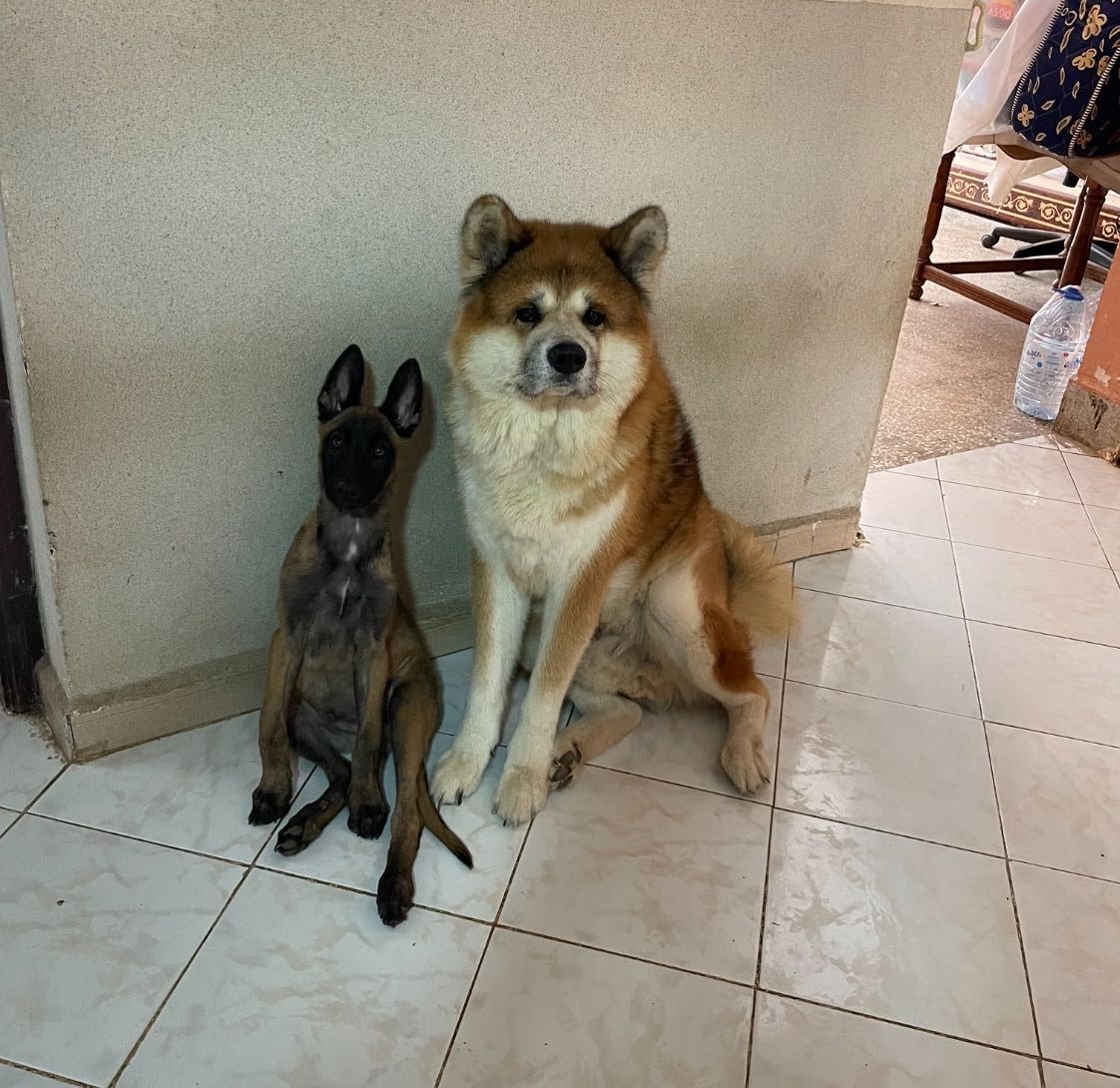 image-8