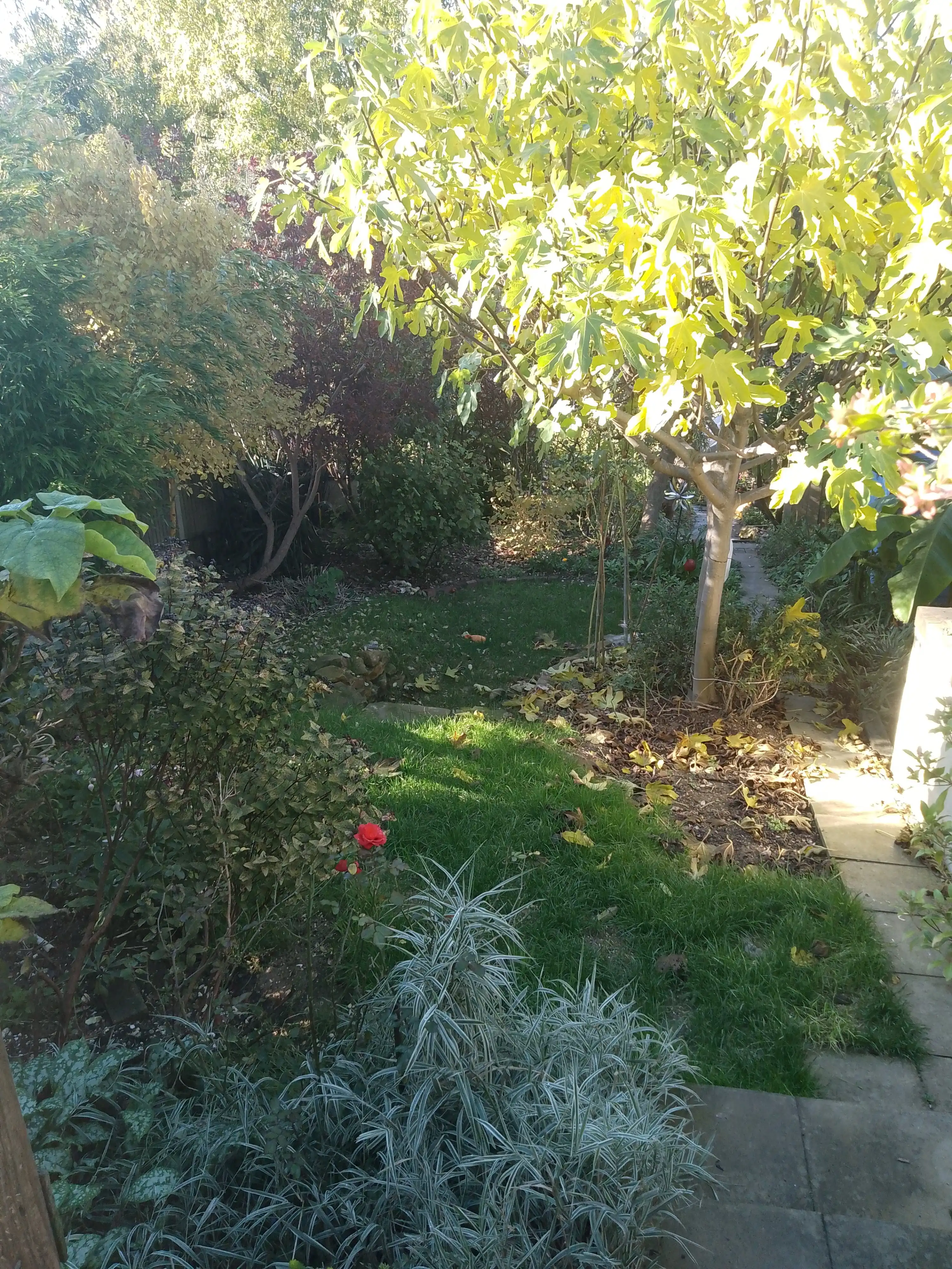 image-10