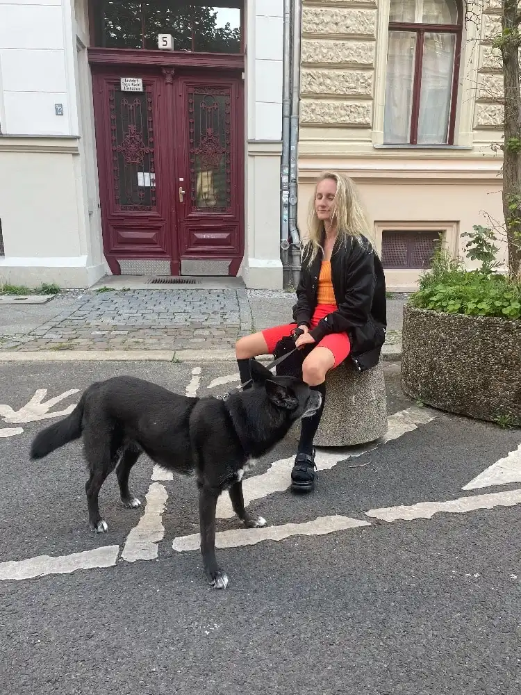 image-26