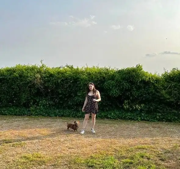 image-17