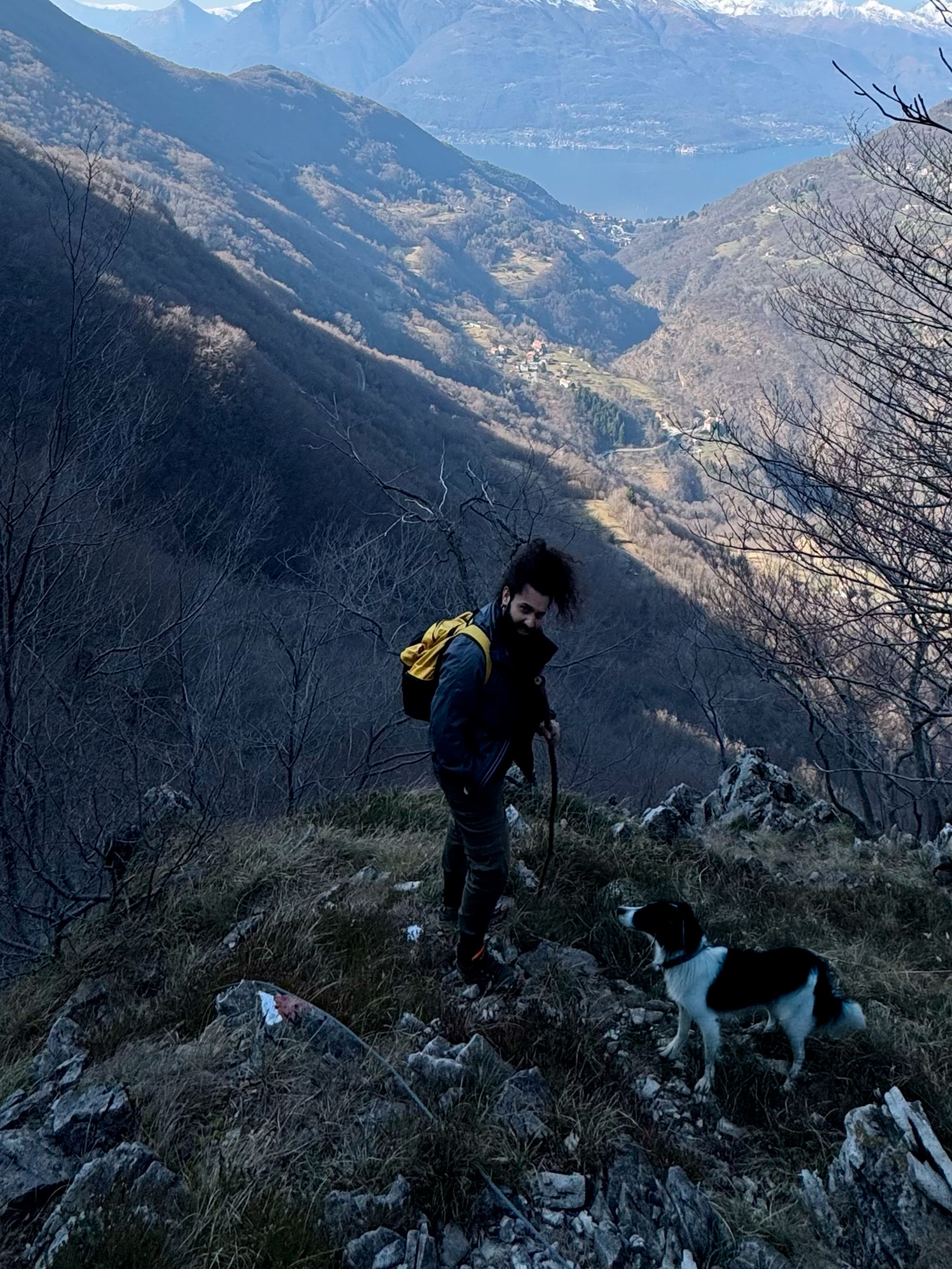image-3