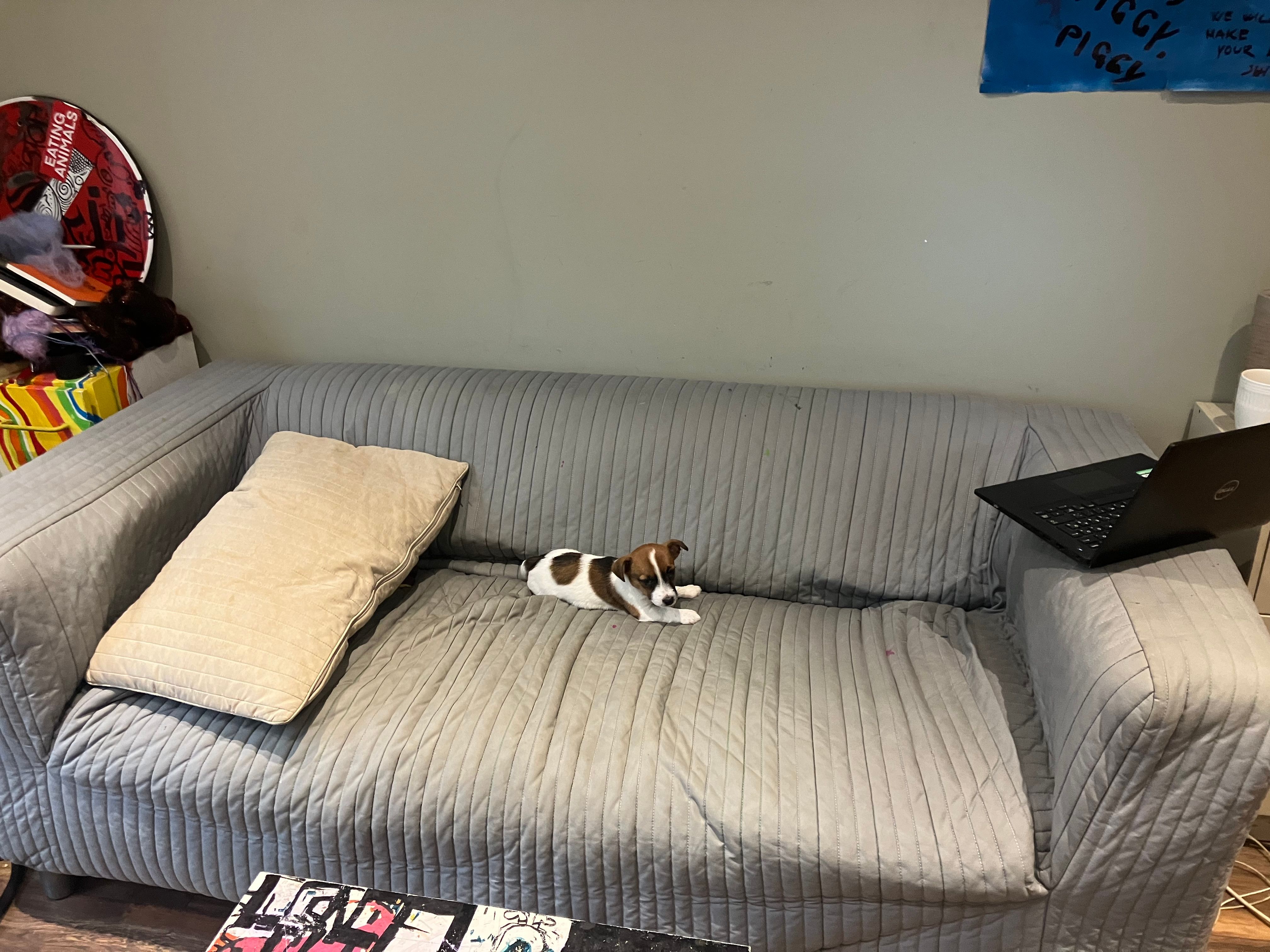 image-13