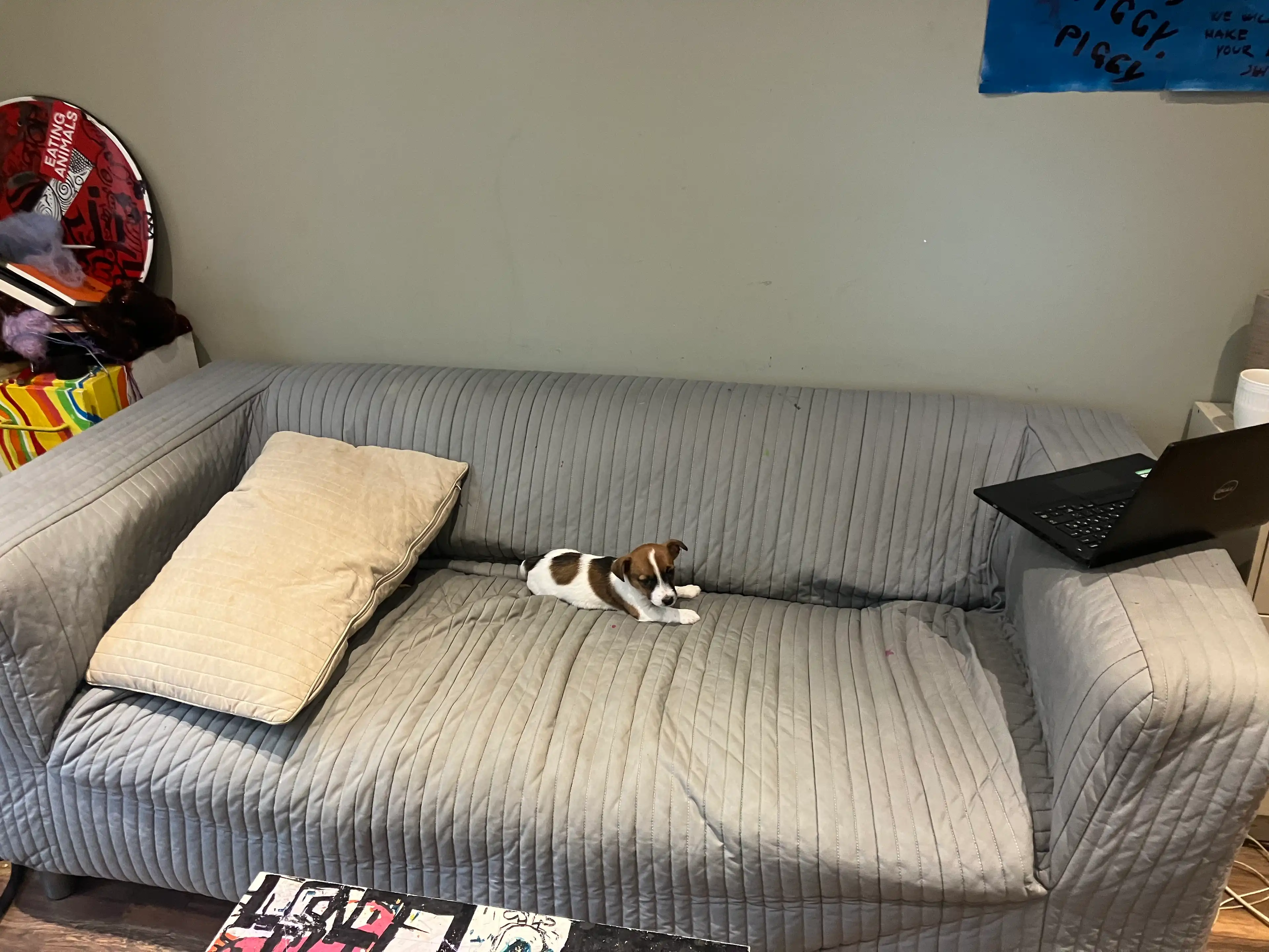 image-13