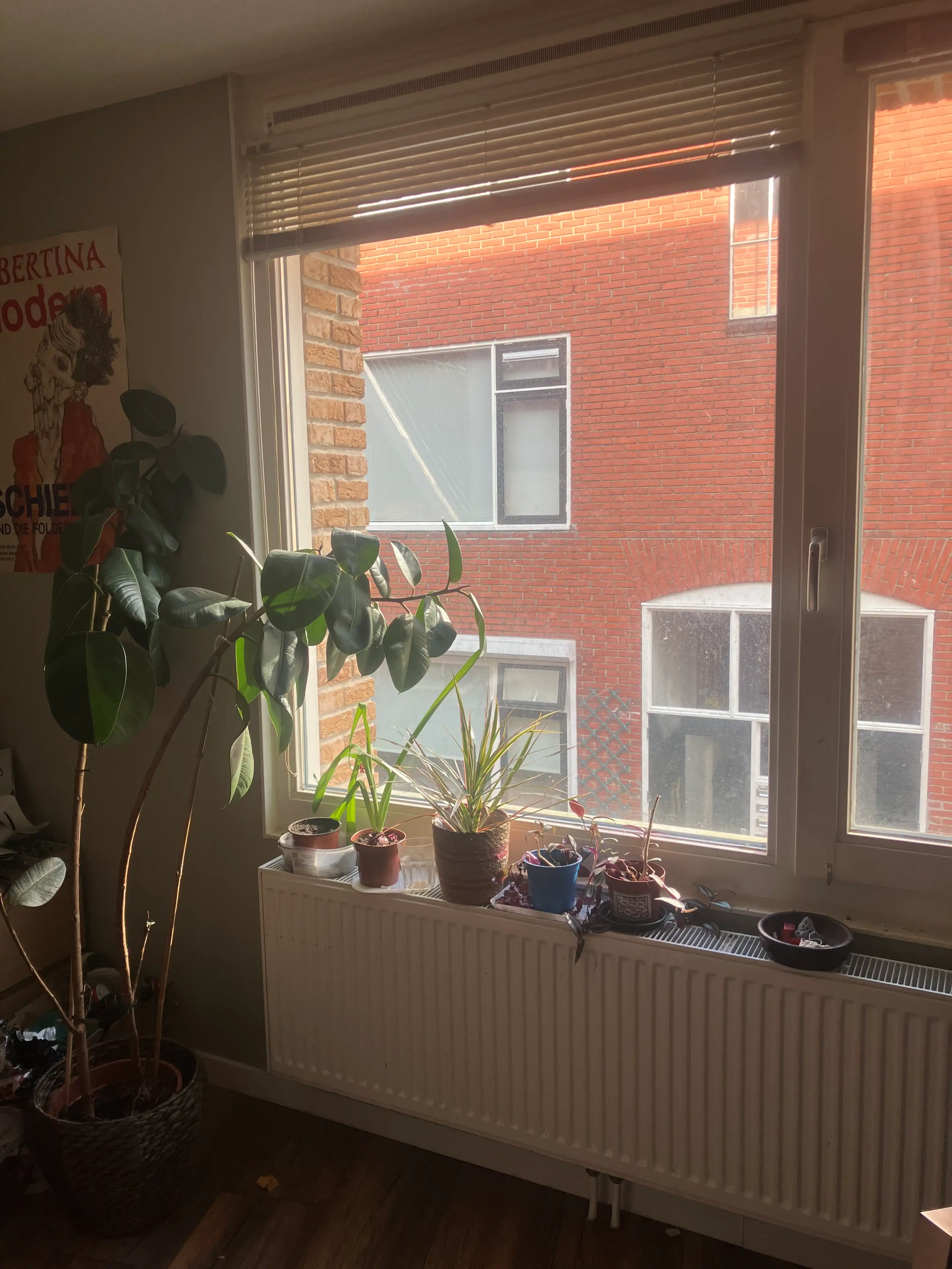 image-15