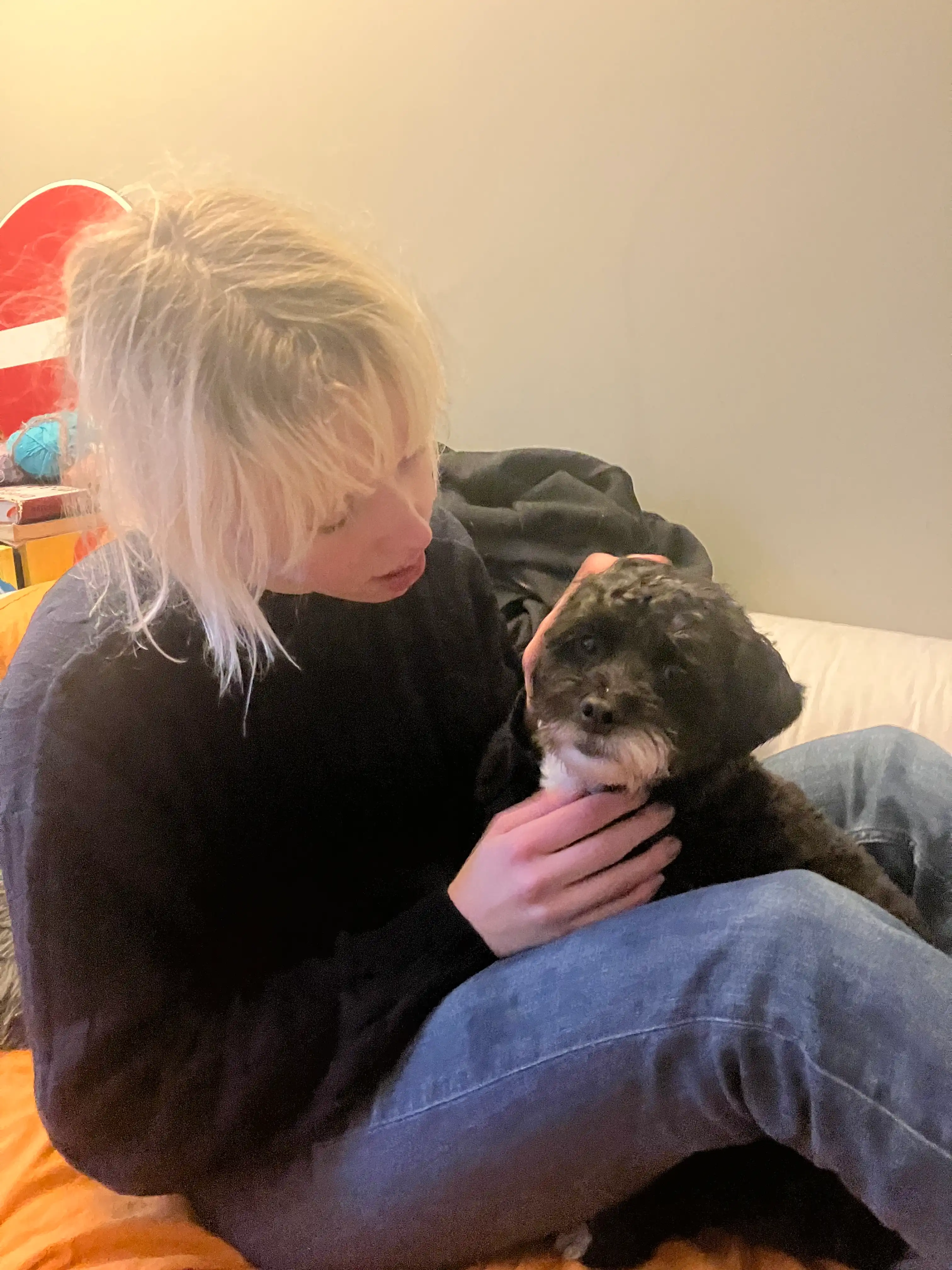 image-8