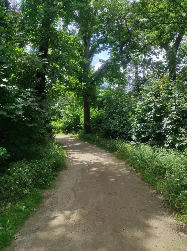 image-14