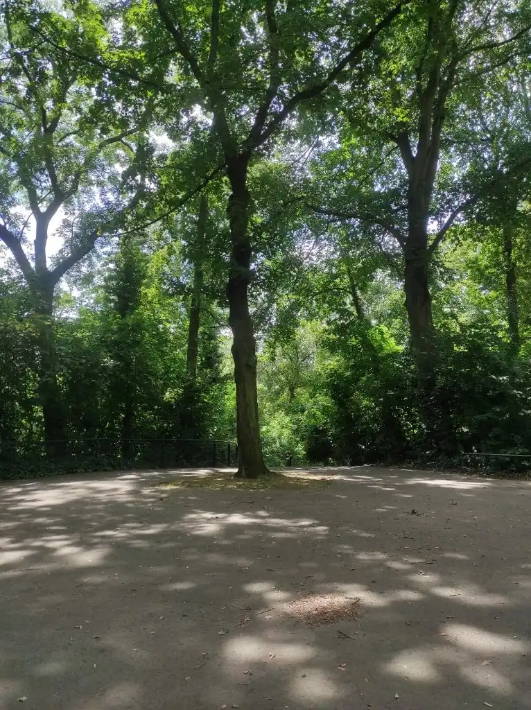 image-15
