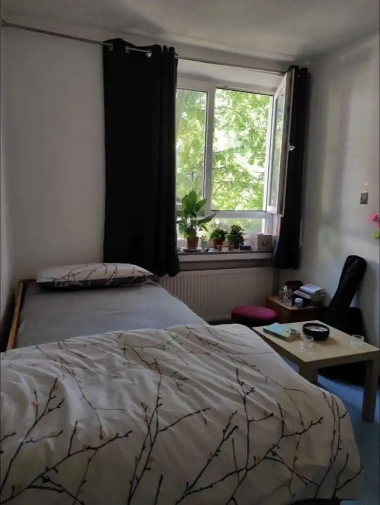 image-11