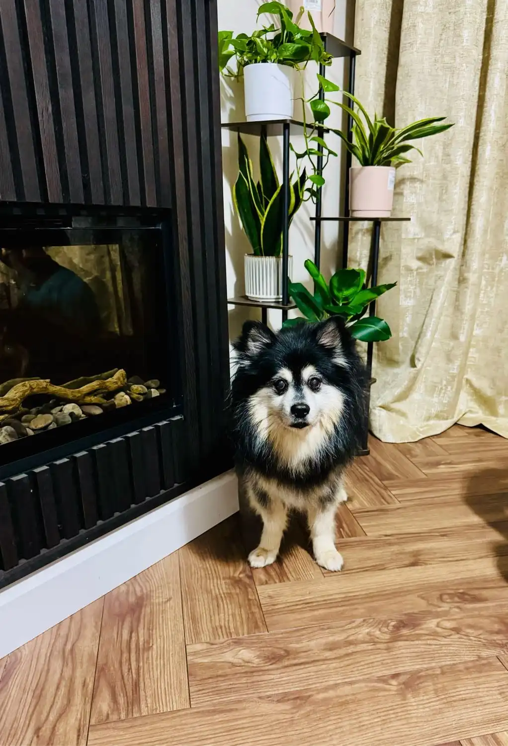 image-15