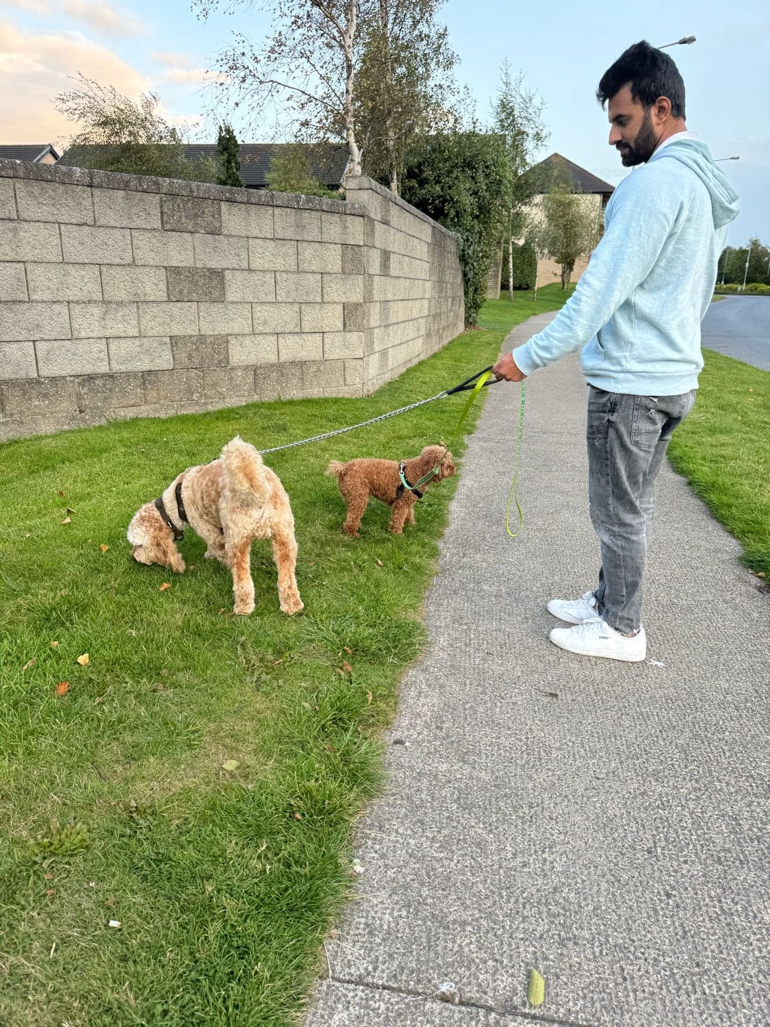 image-6