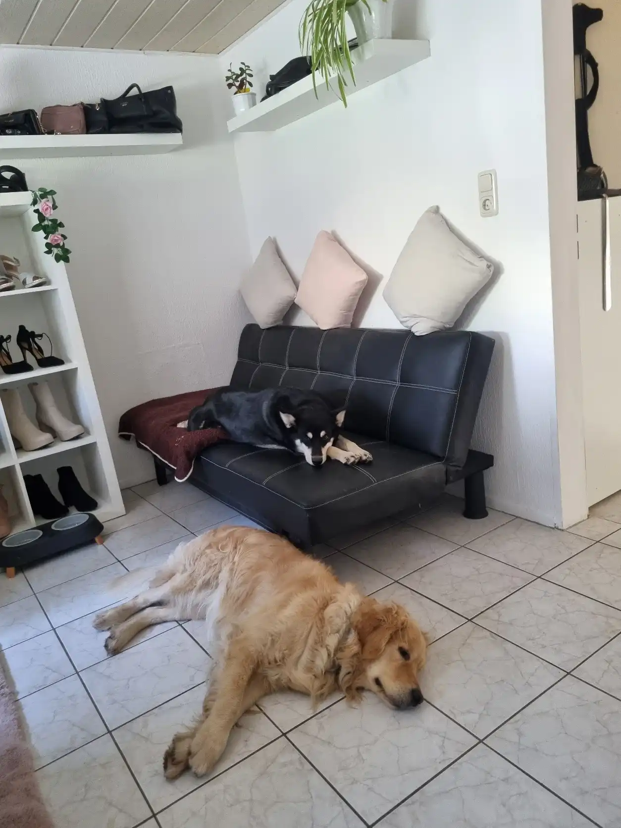 image-27