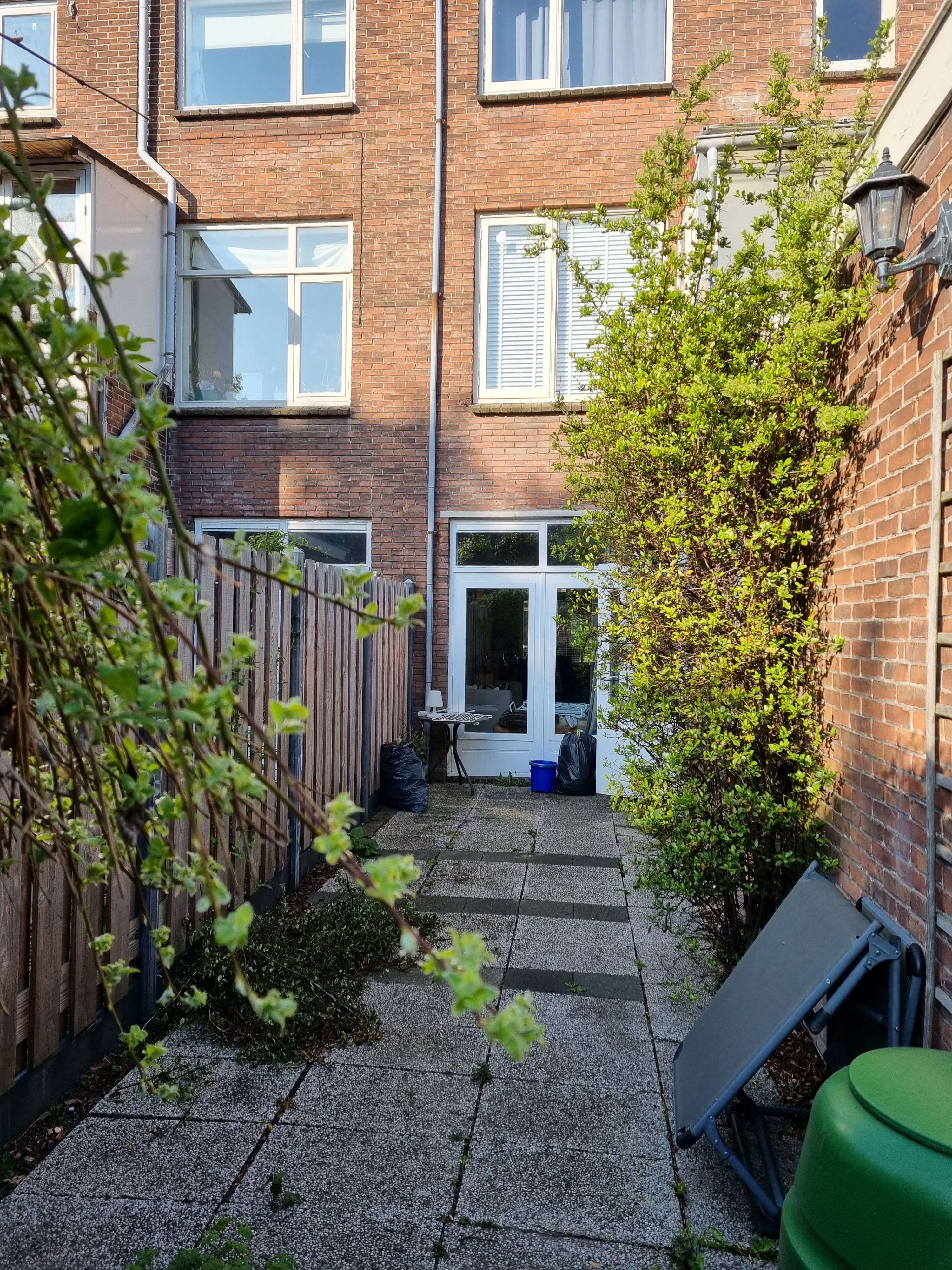image-11