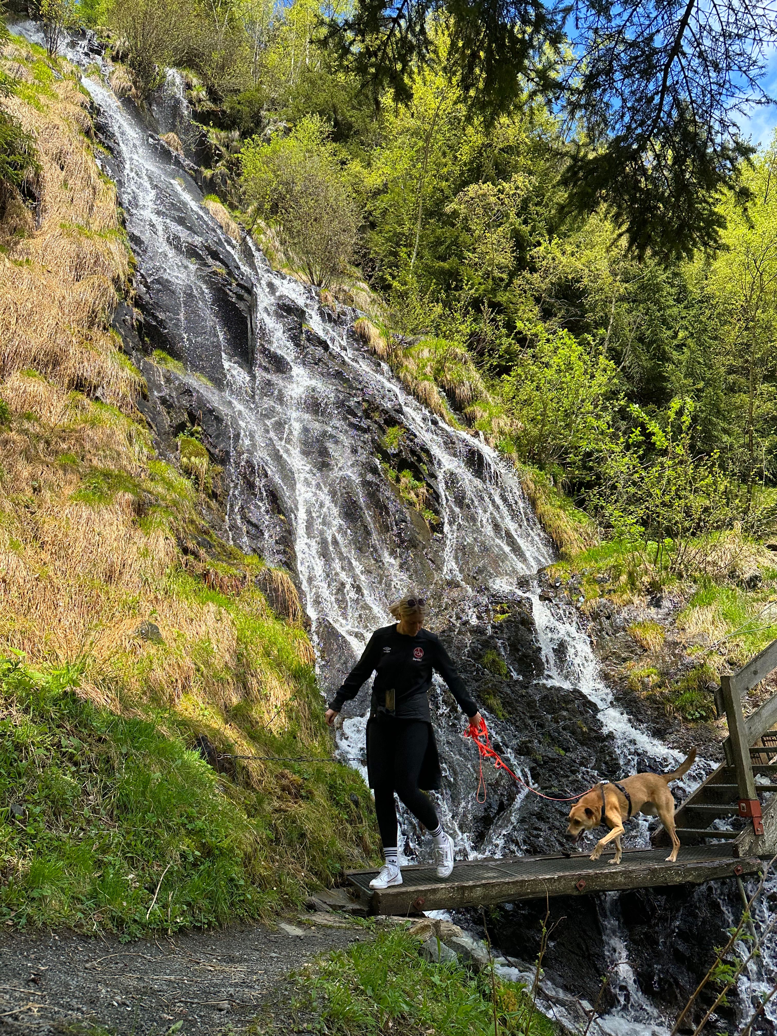 image-5