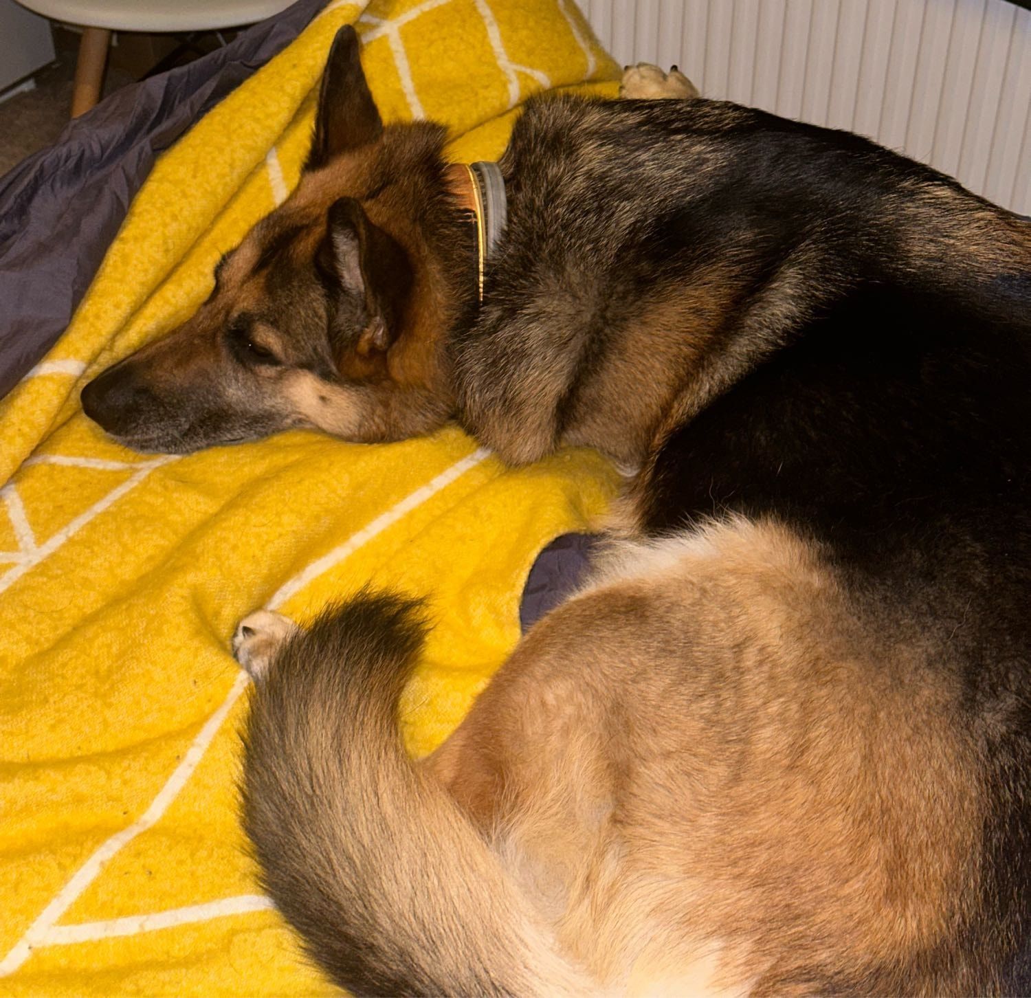 image-31
