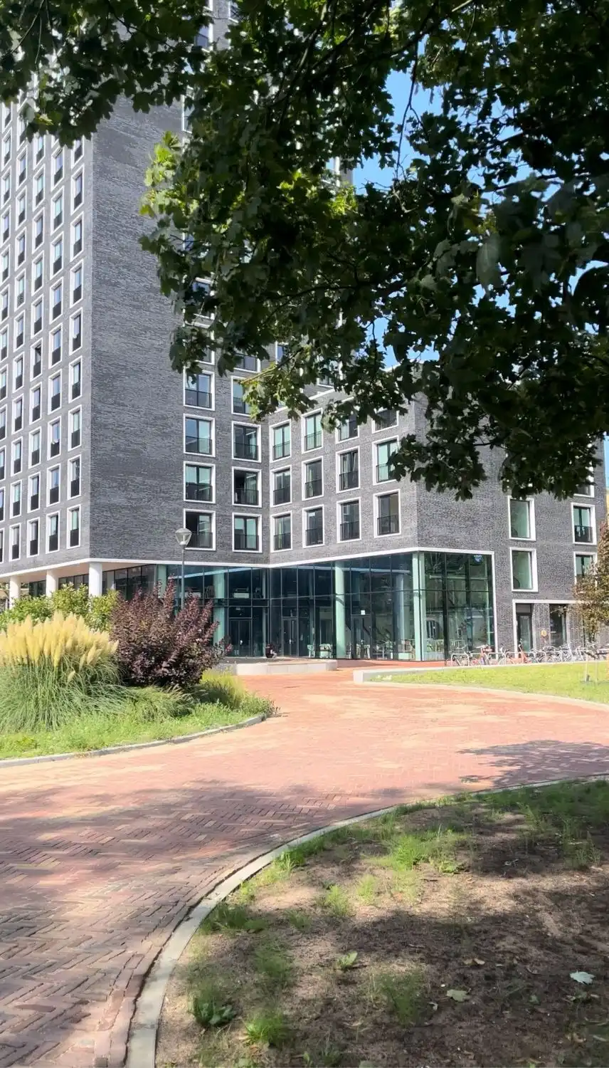 image-5