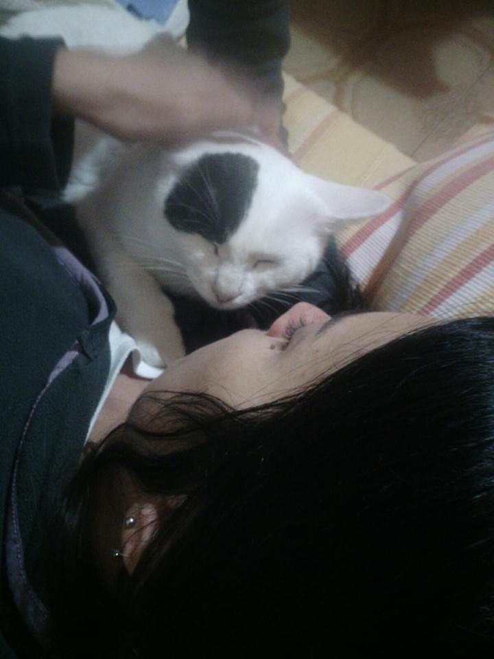 image-8