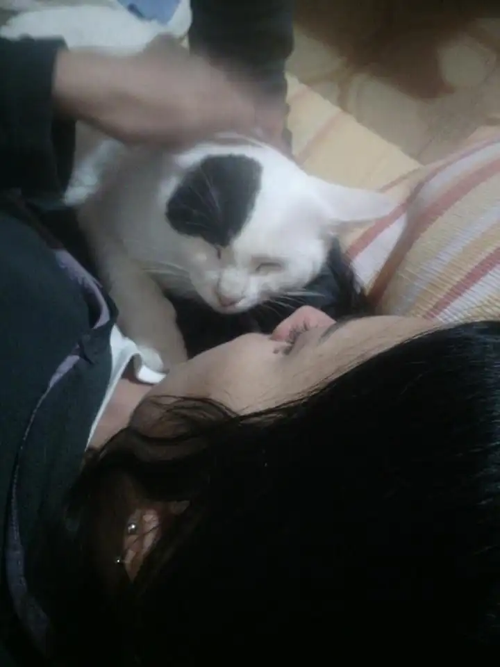 image-8