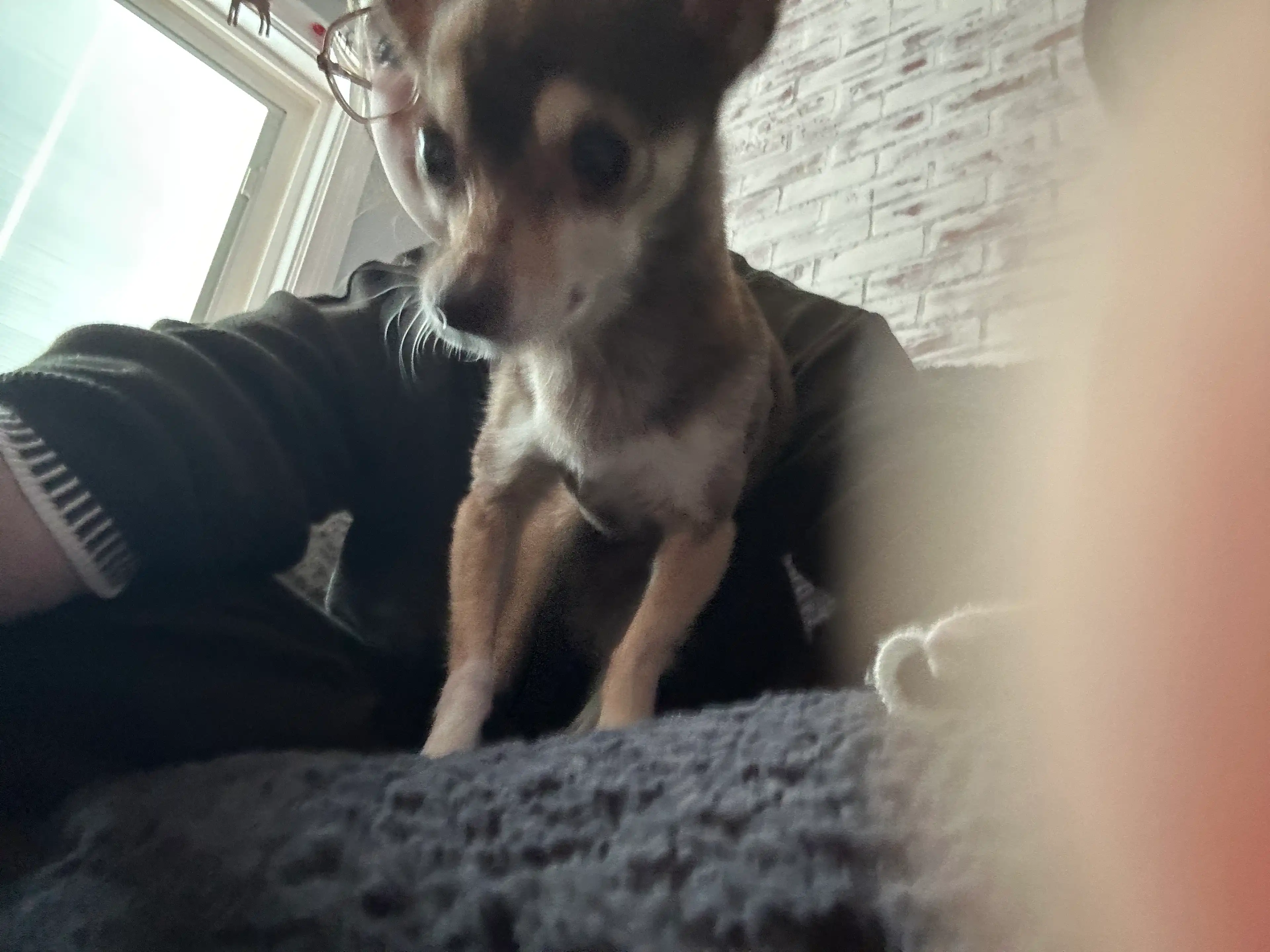 image-7