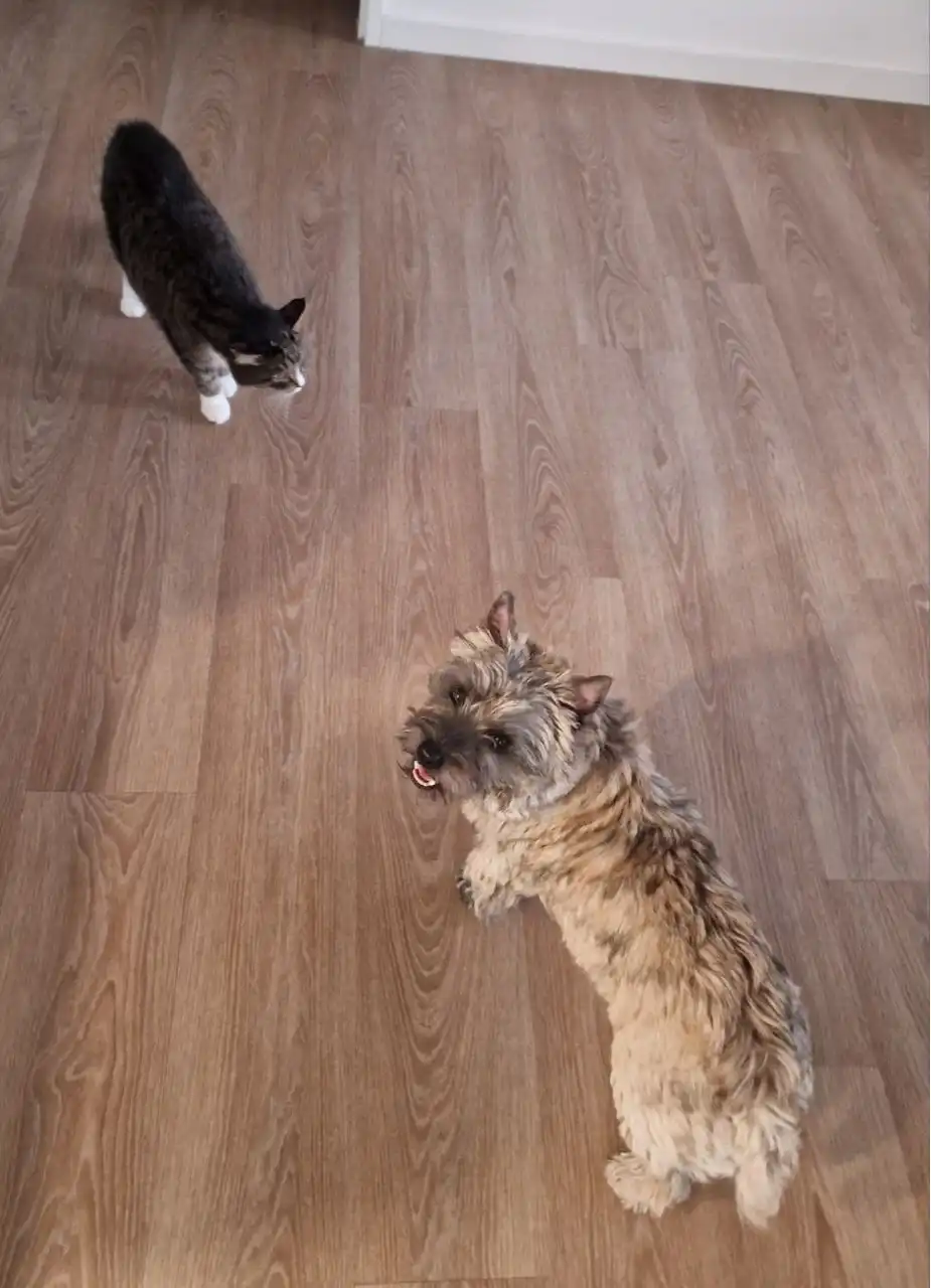 image-18