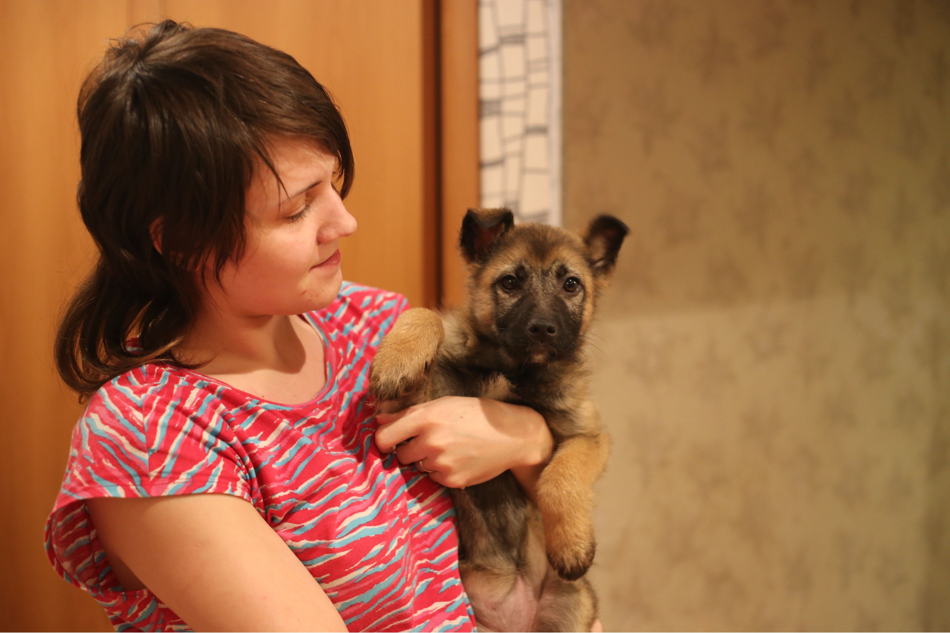 image-6