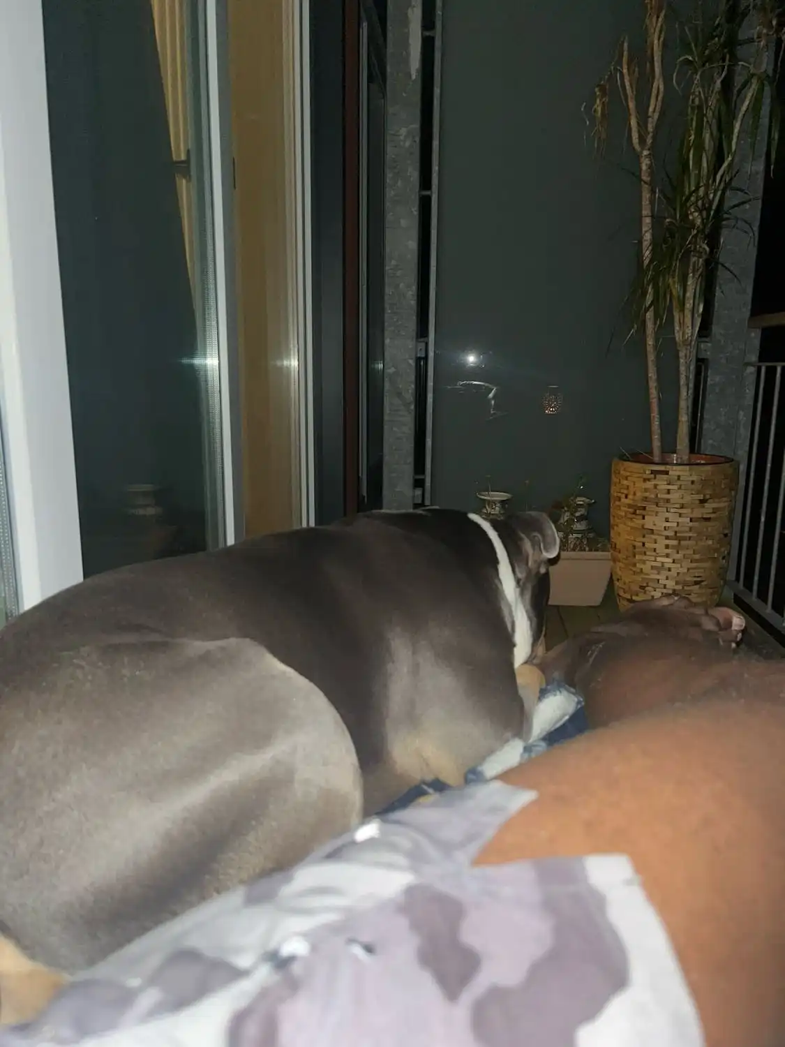 image-5