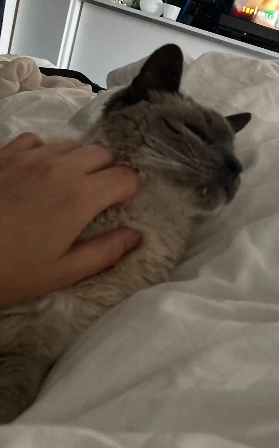 image-6