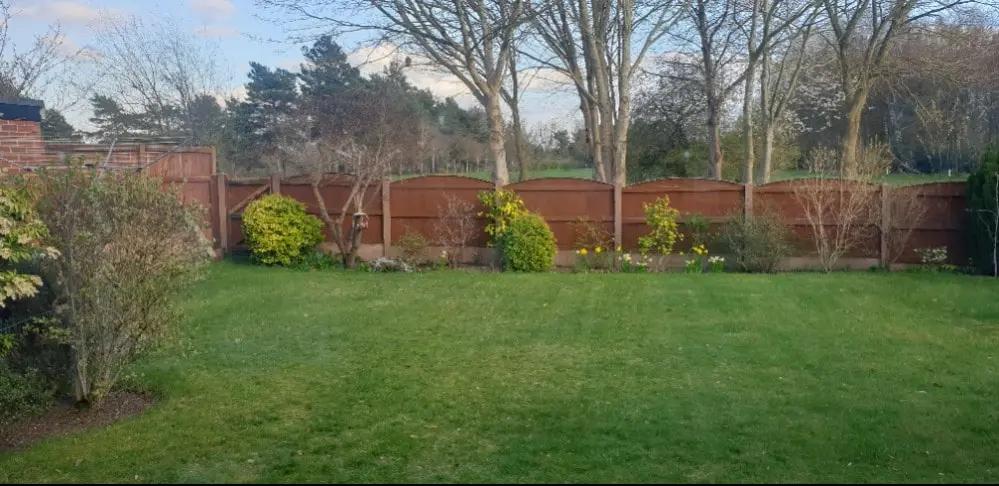 image-3