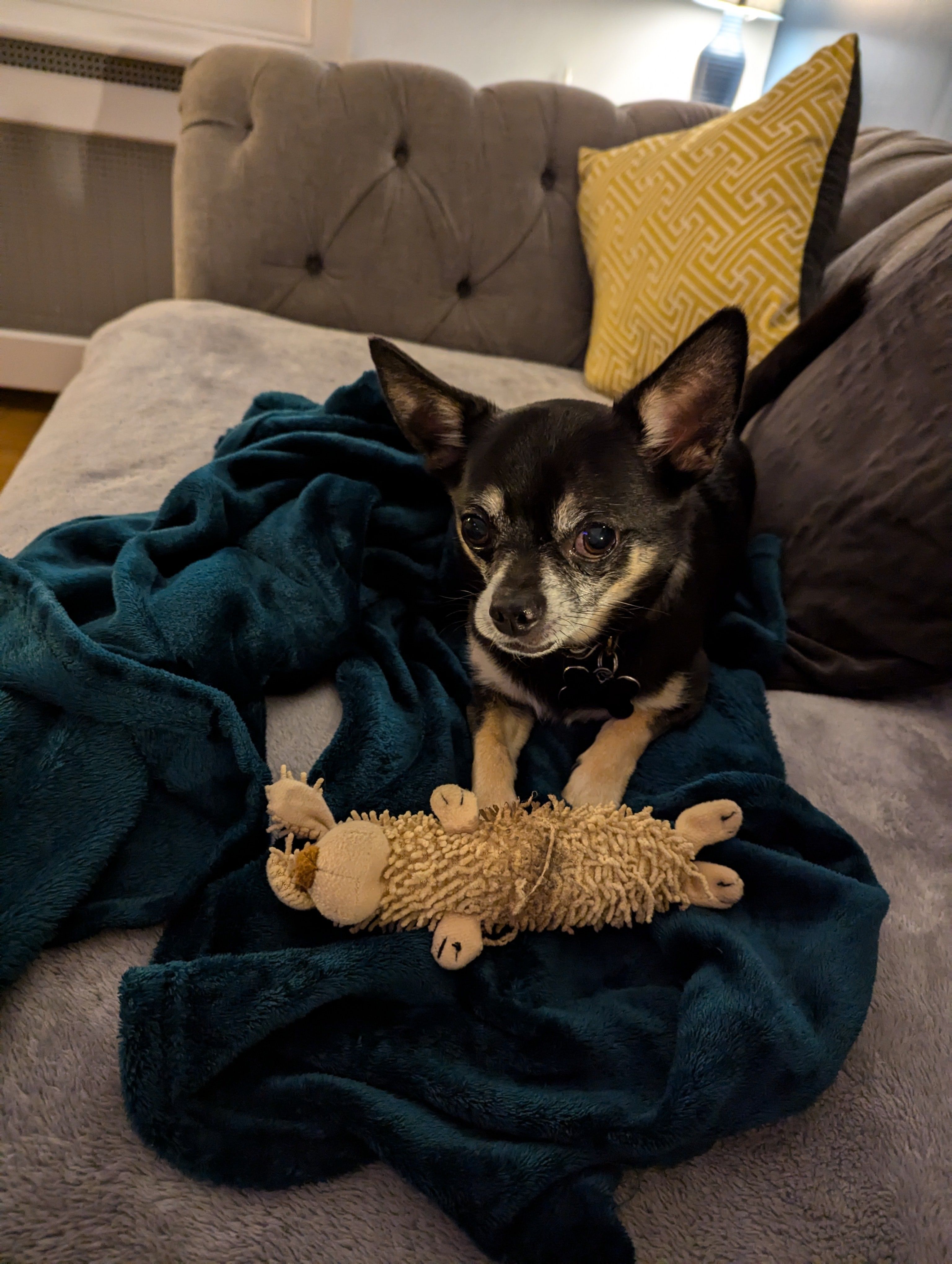 image-9