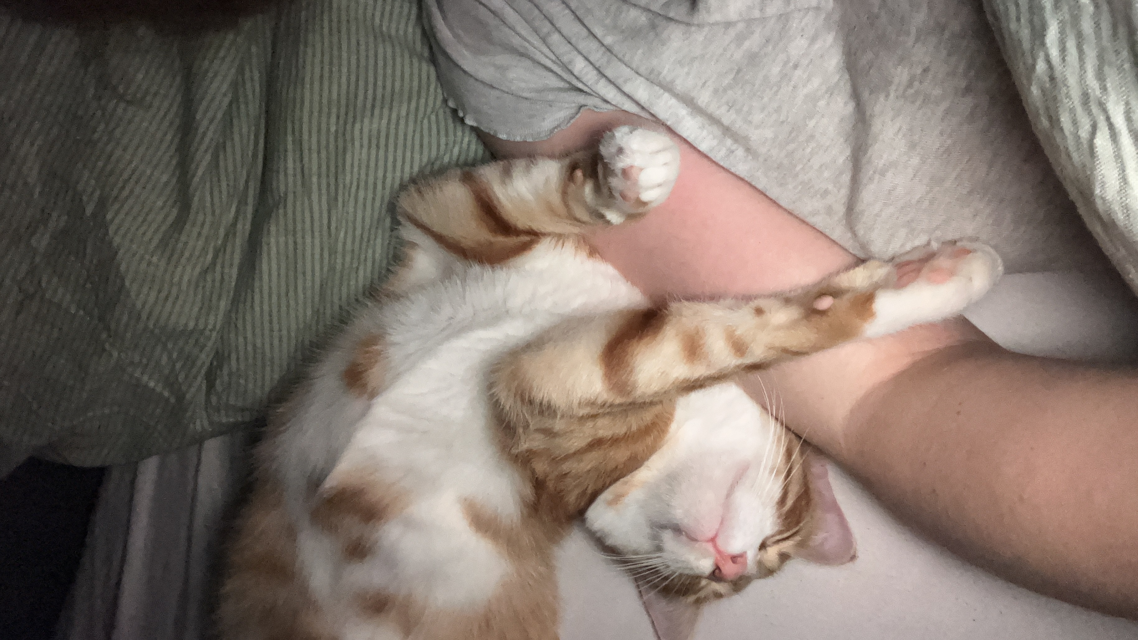 image-8