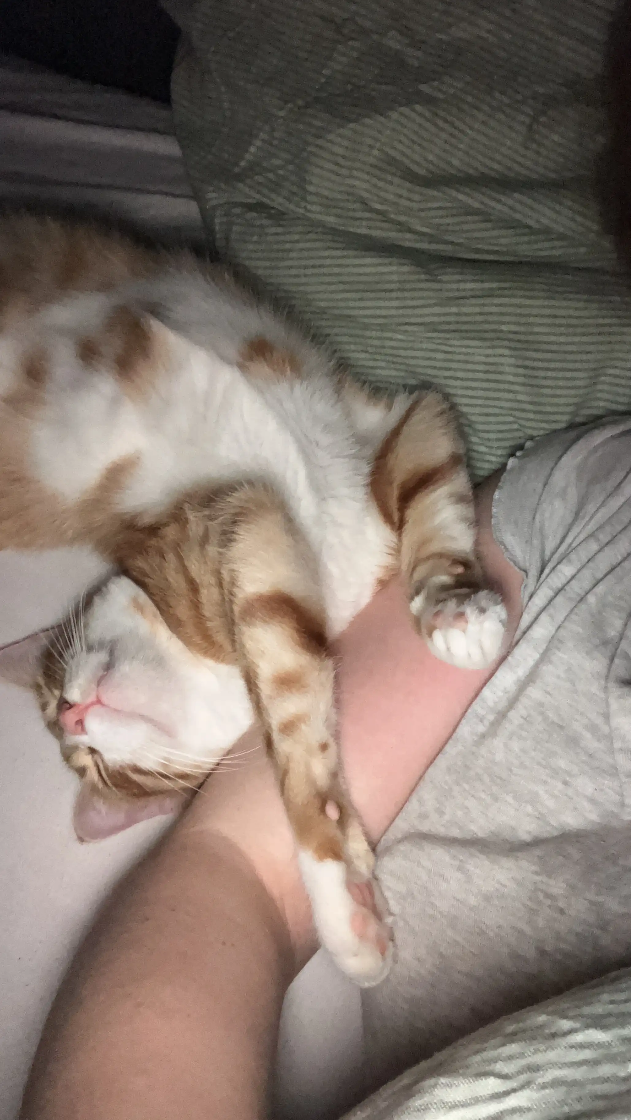 image-8