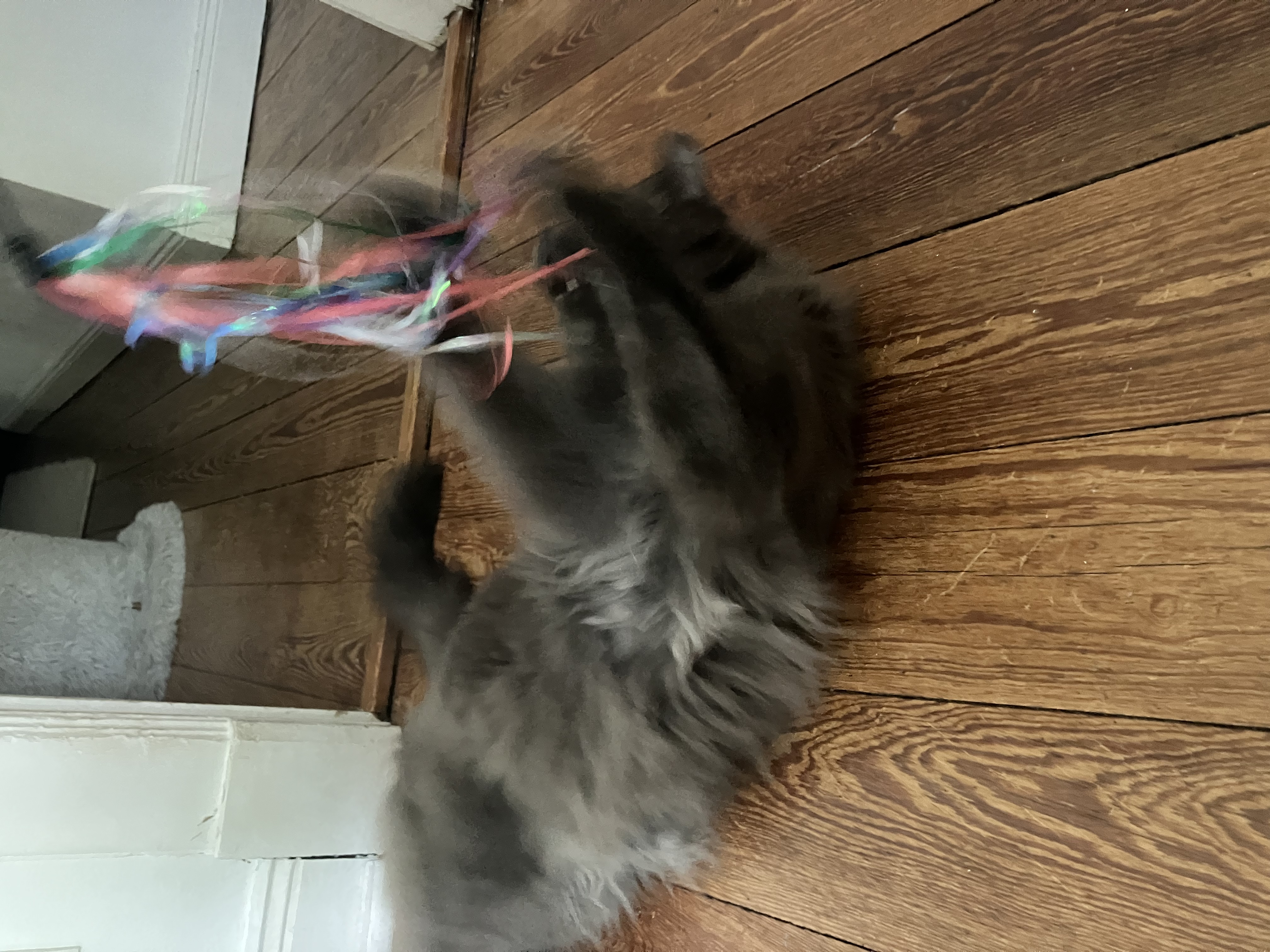 image-10