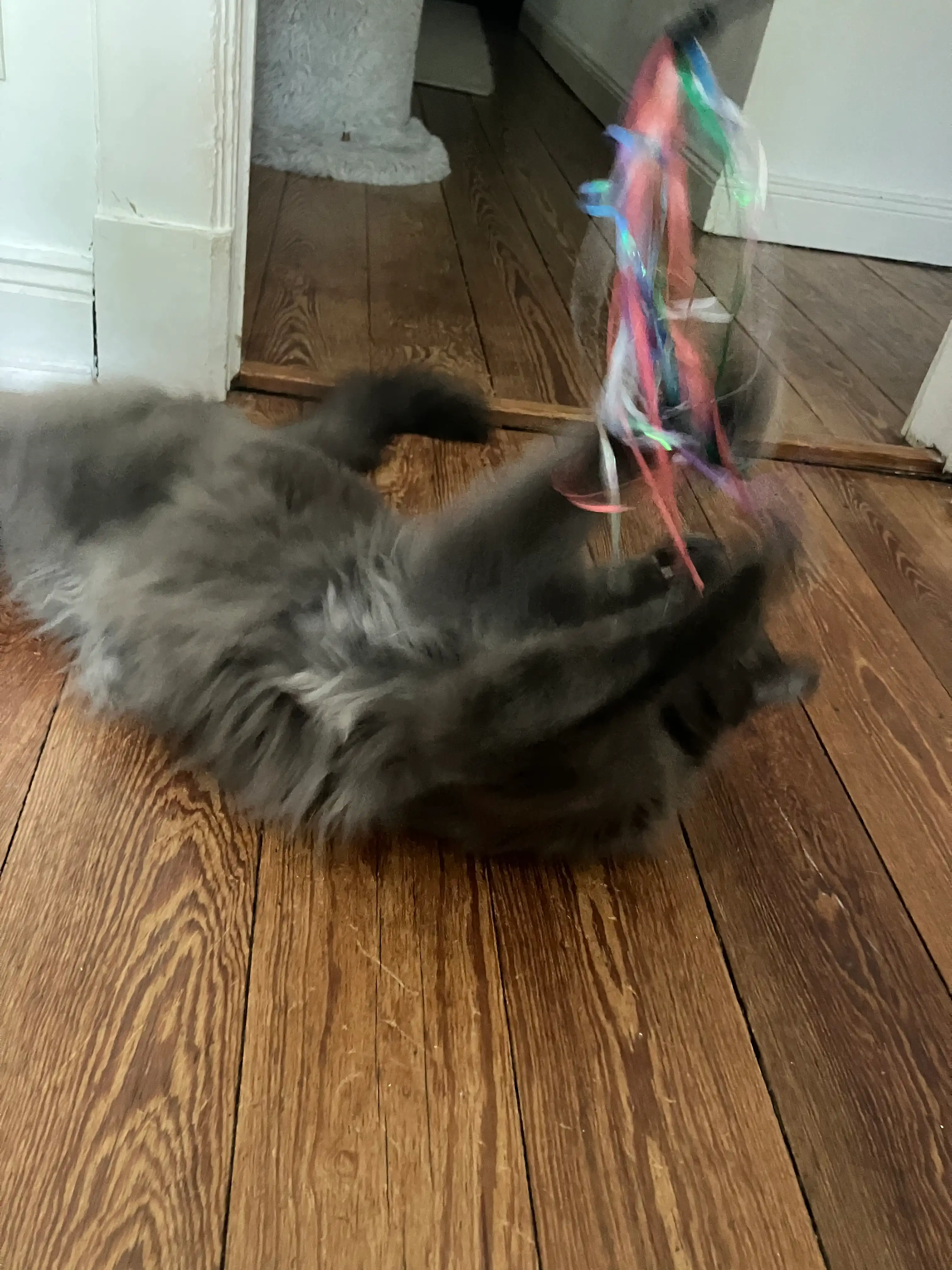 image-10