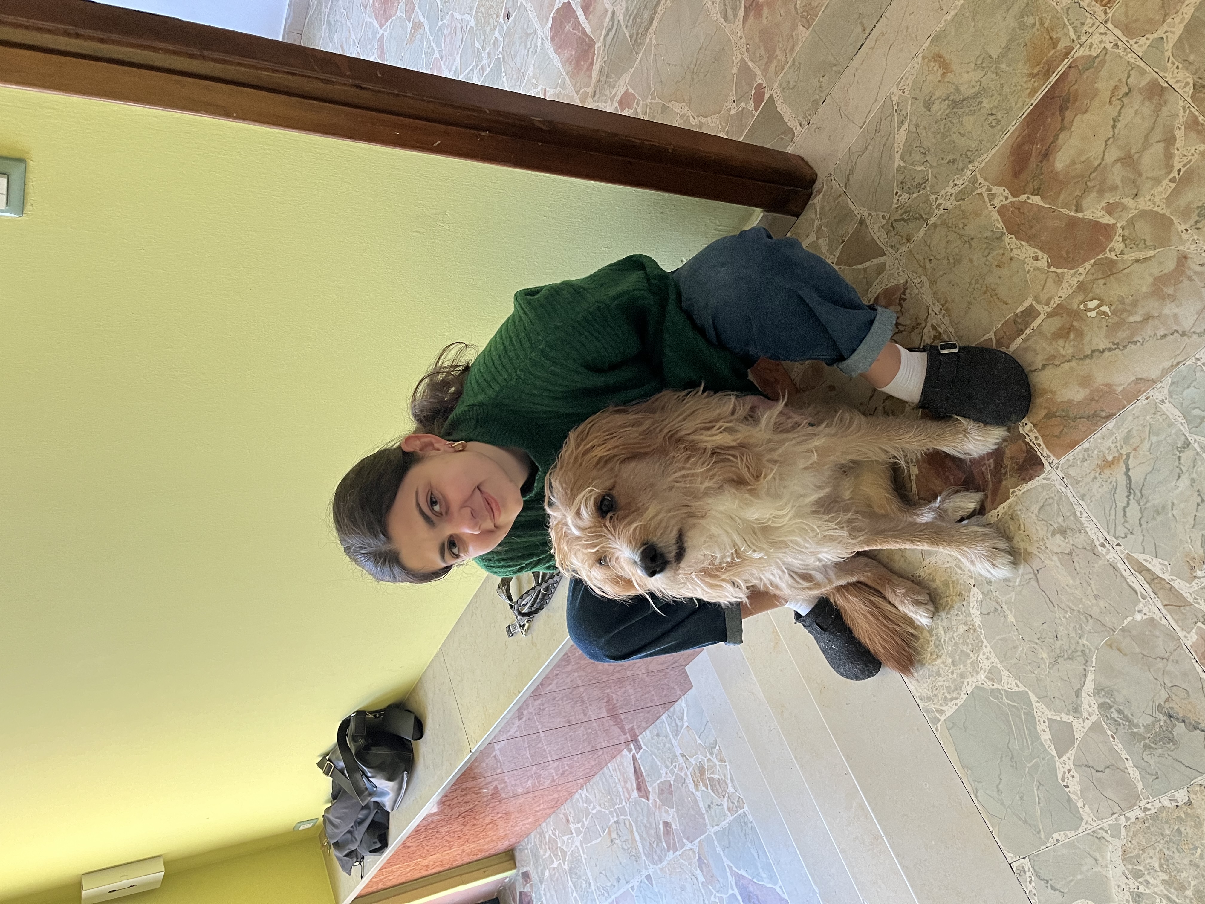 image-8