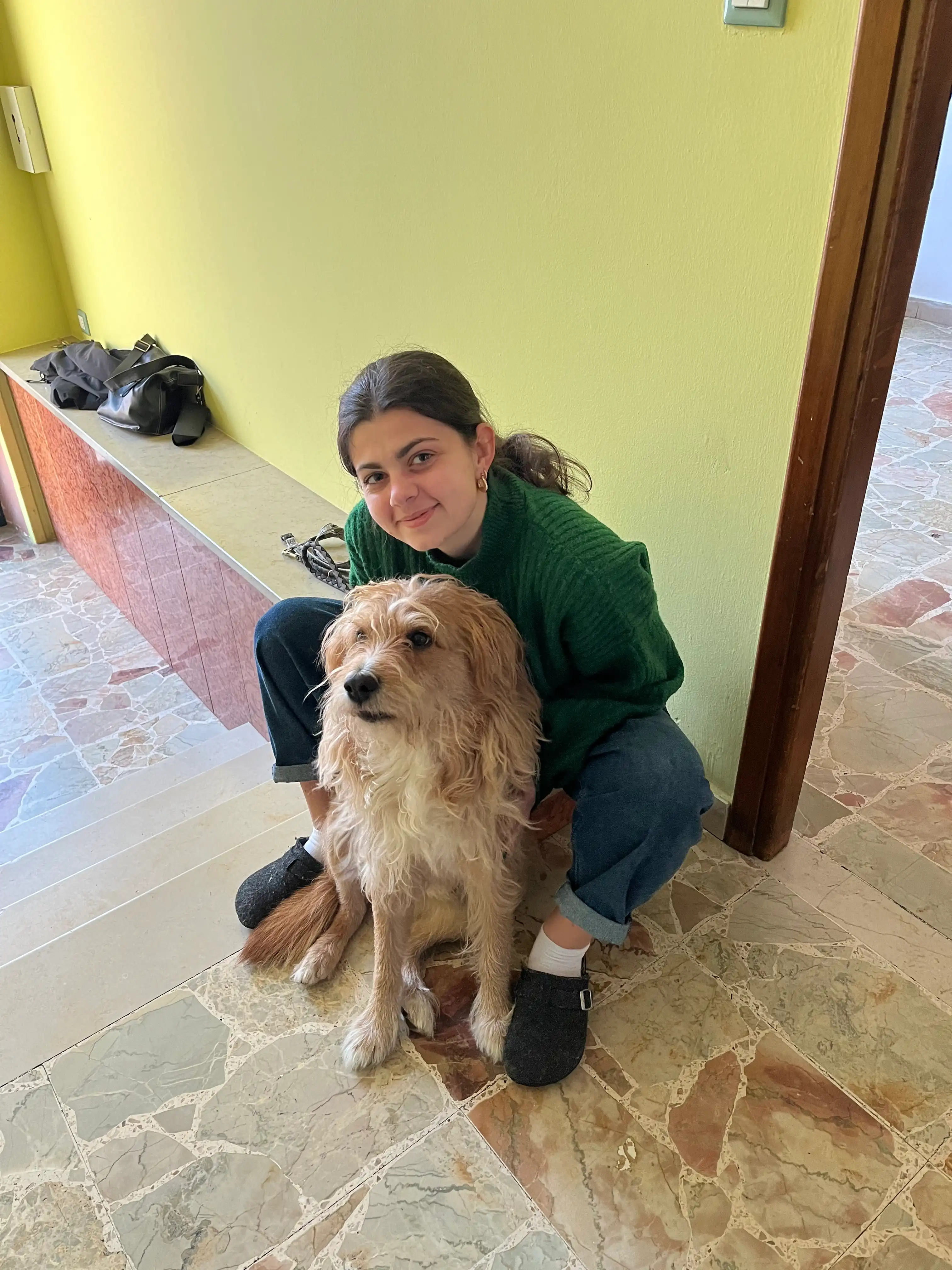 image-8