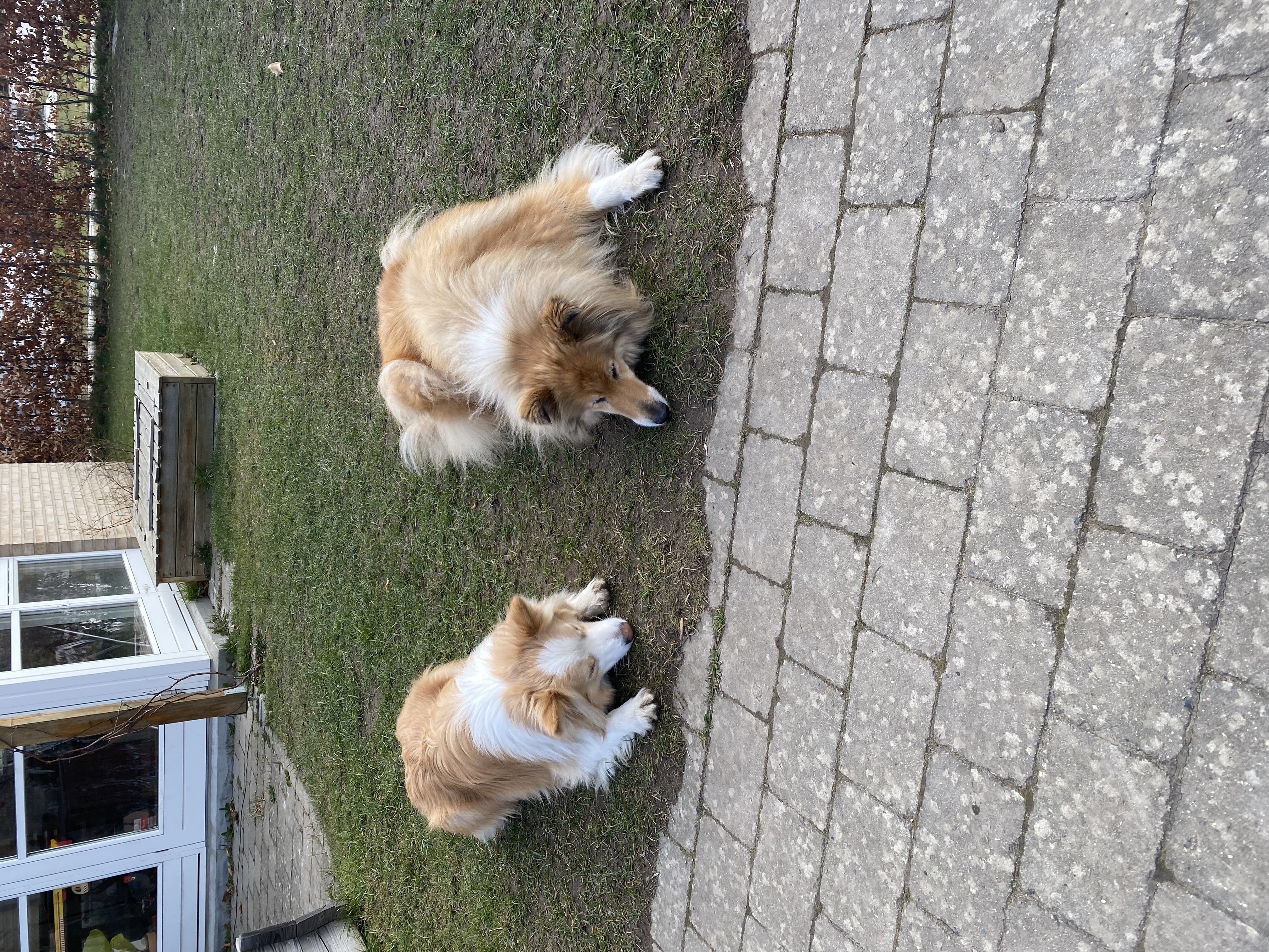image-16