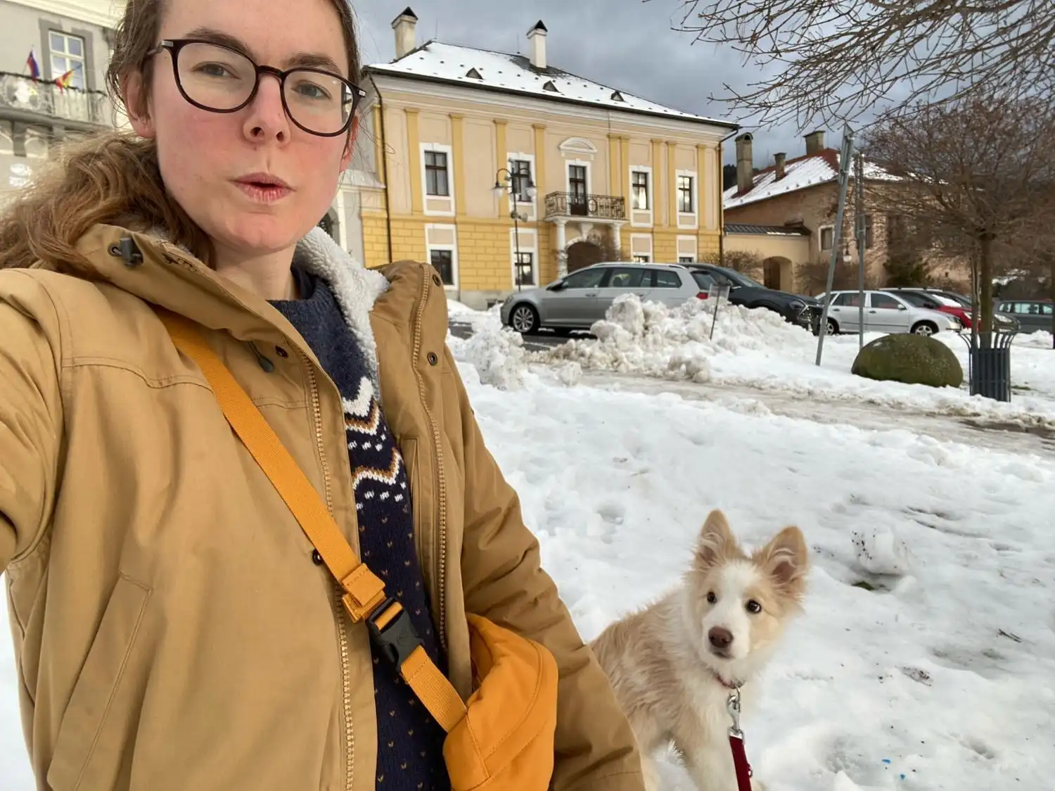 image-10