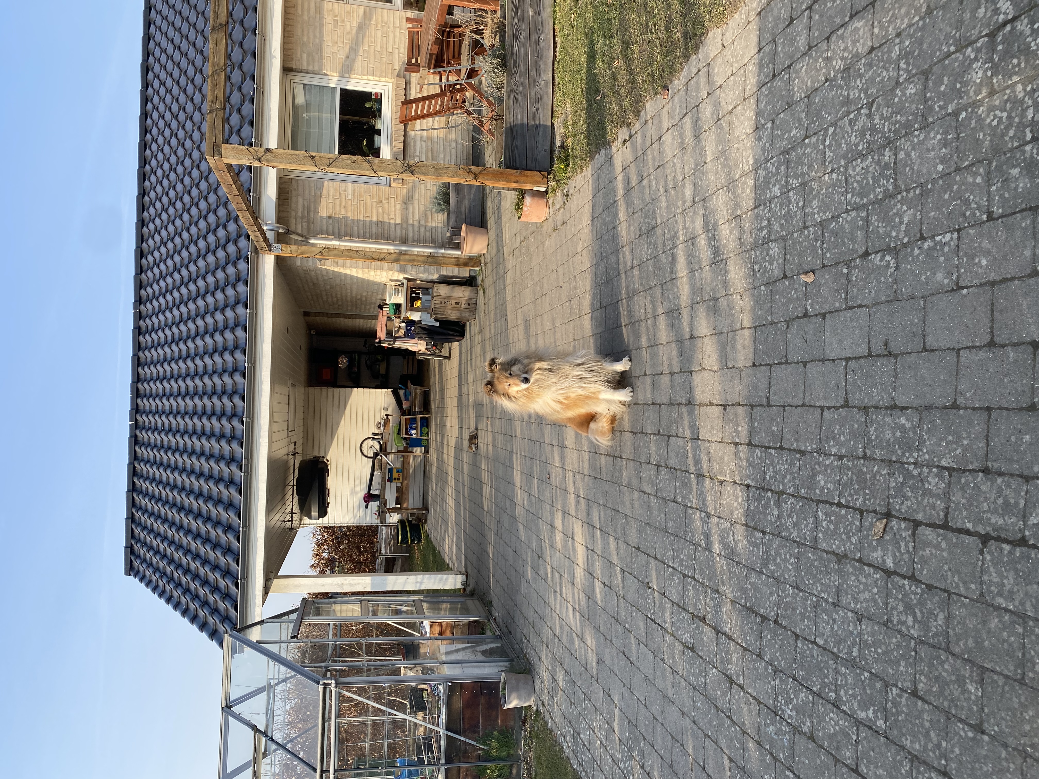 image-25