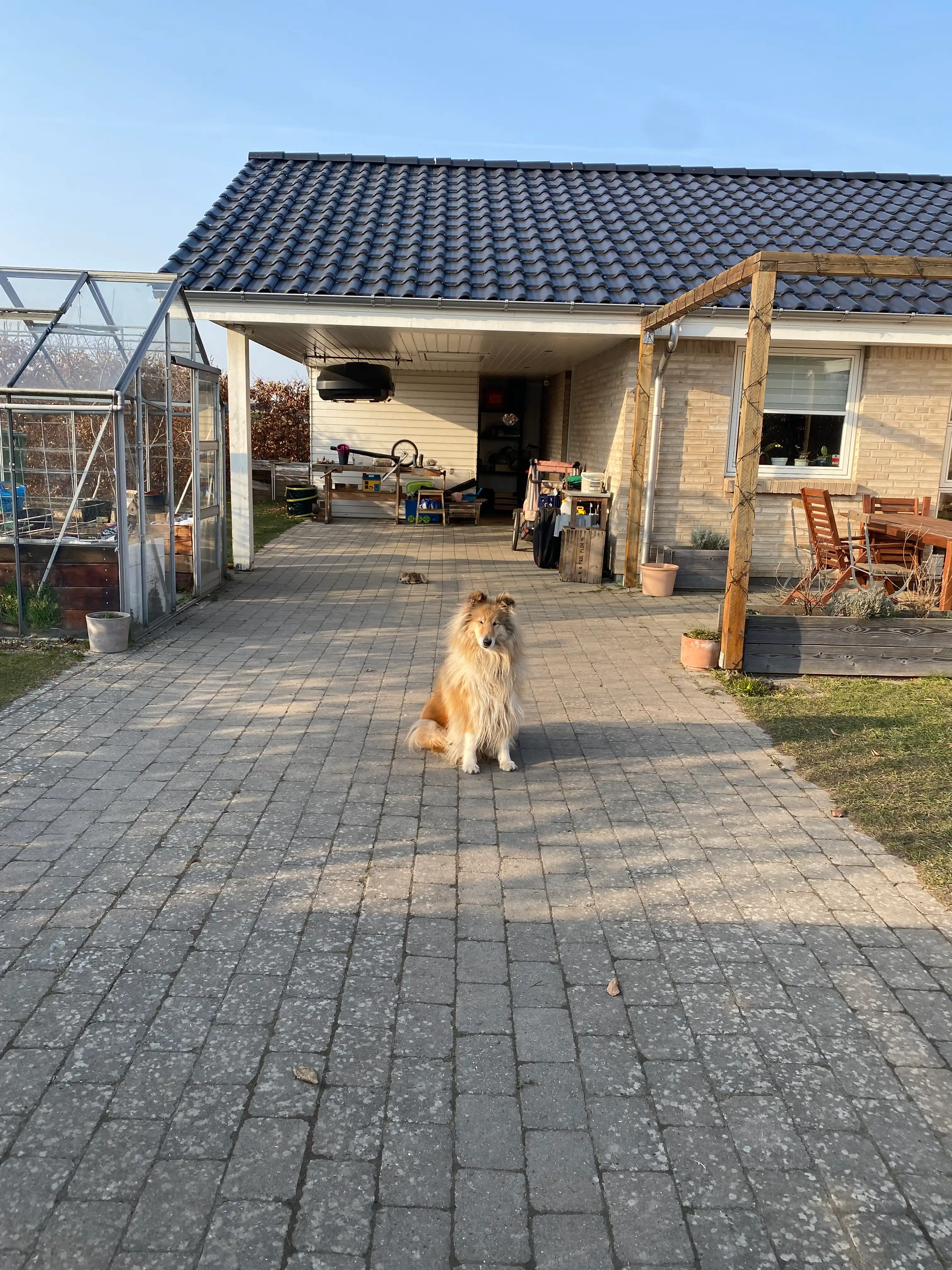 image-25