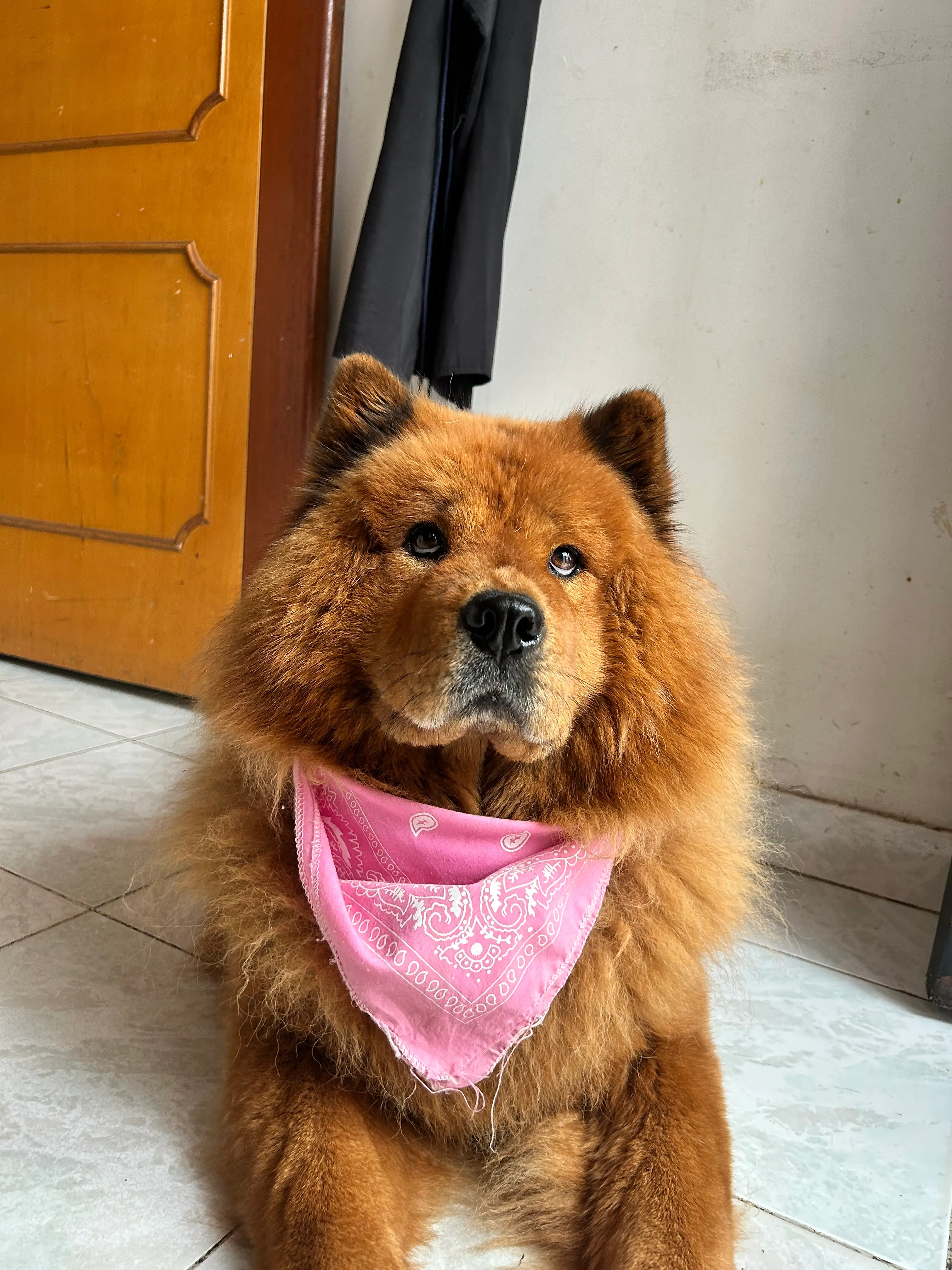 image-4