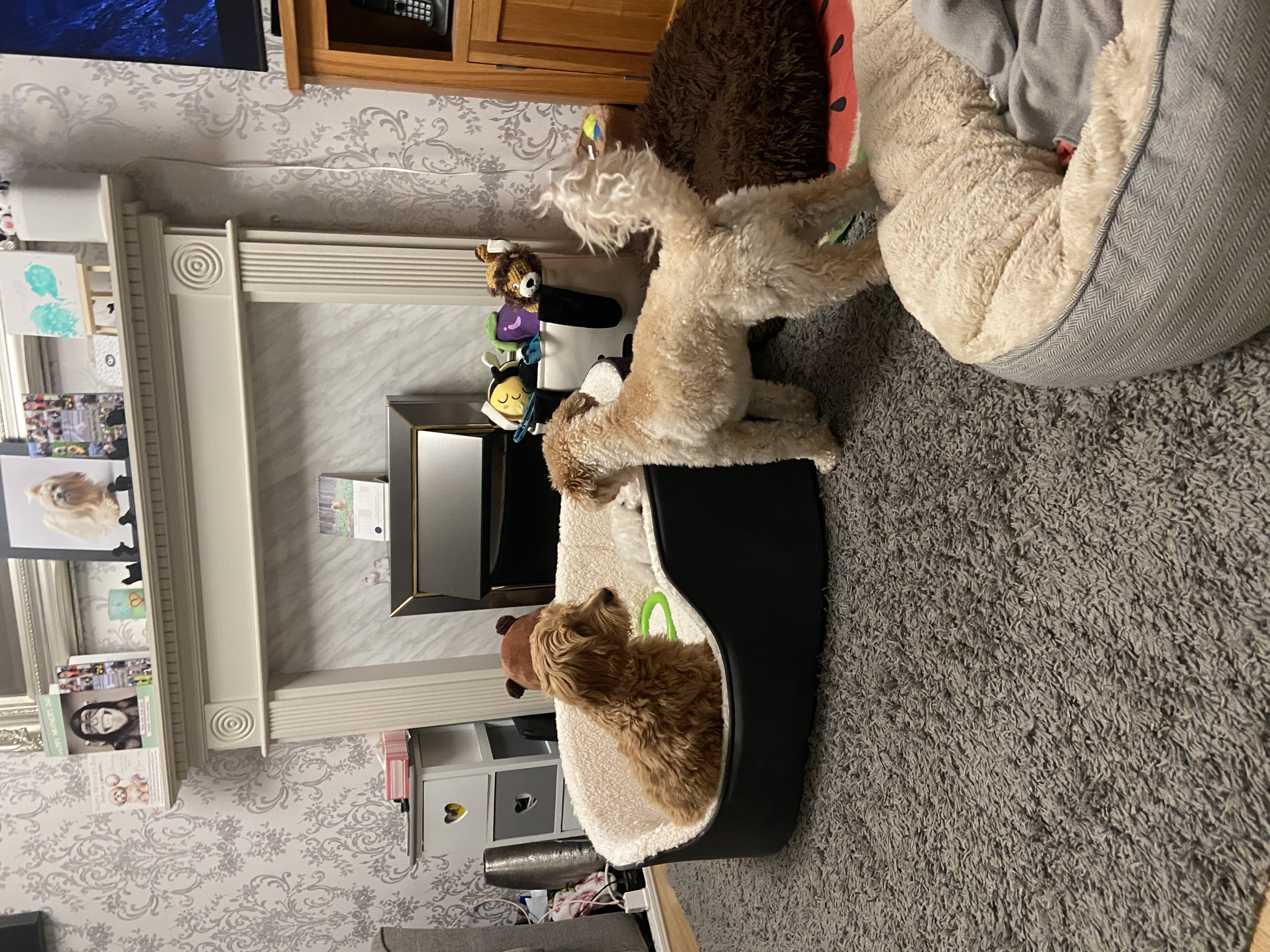 image-42