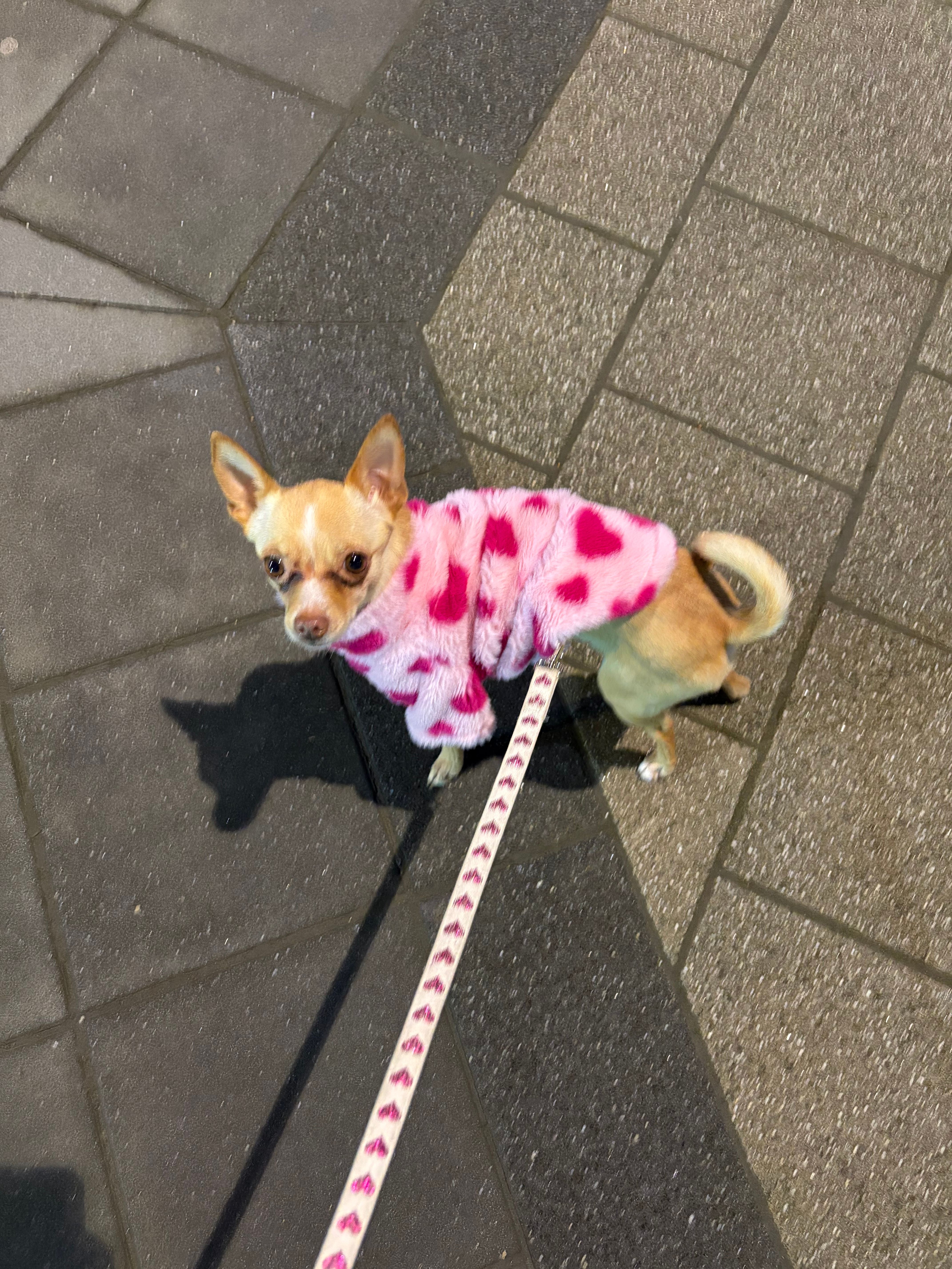 image-8