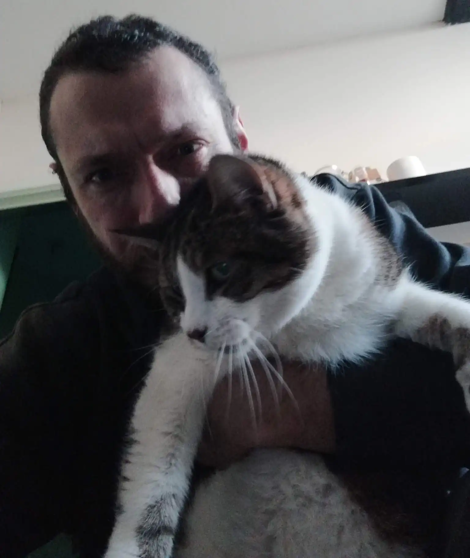 image-7
