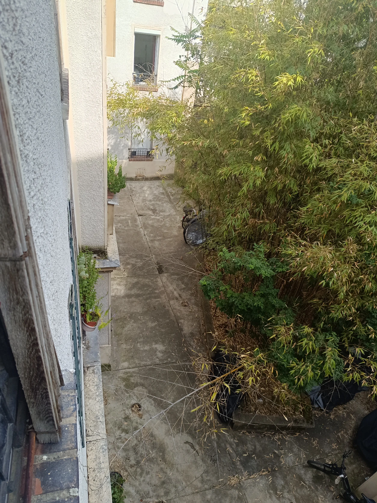 image-23