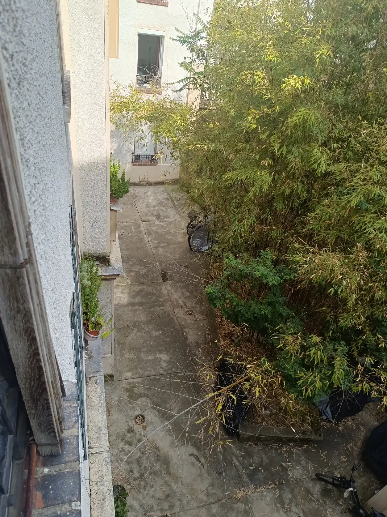 image-23