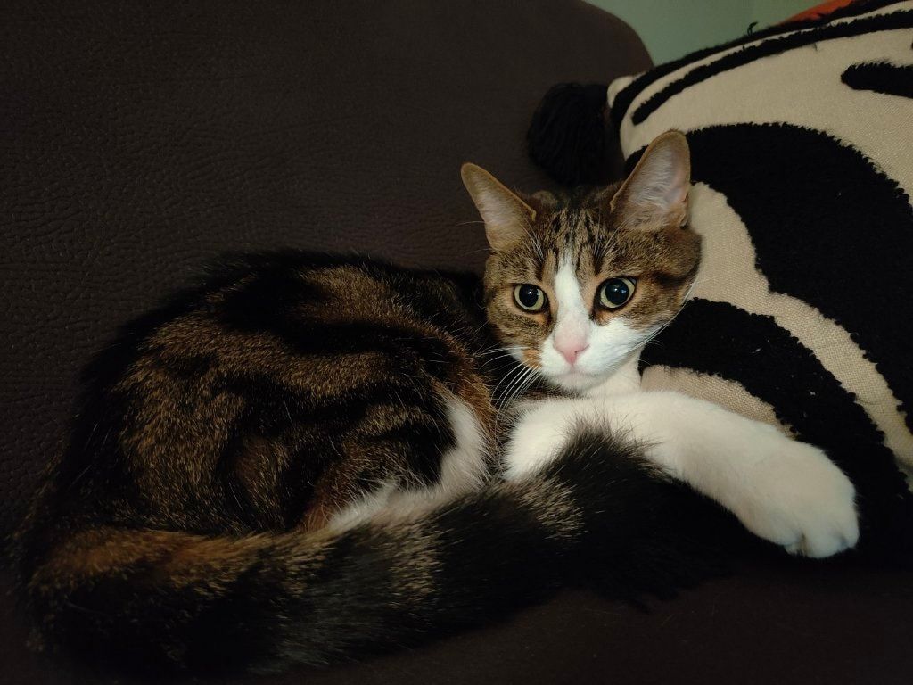 image-6